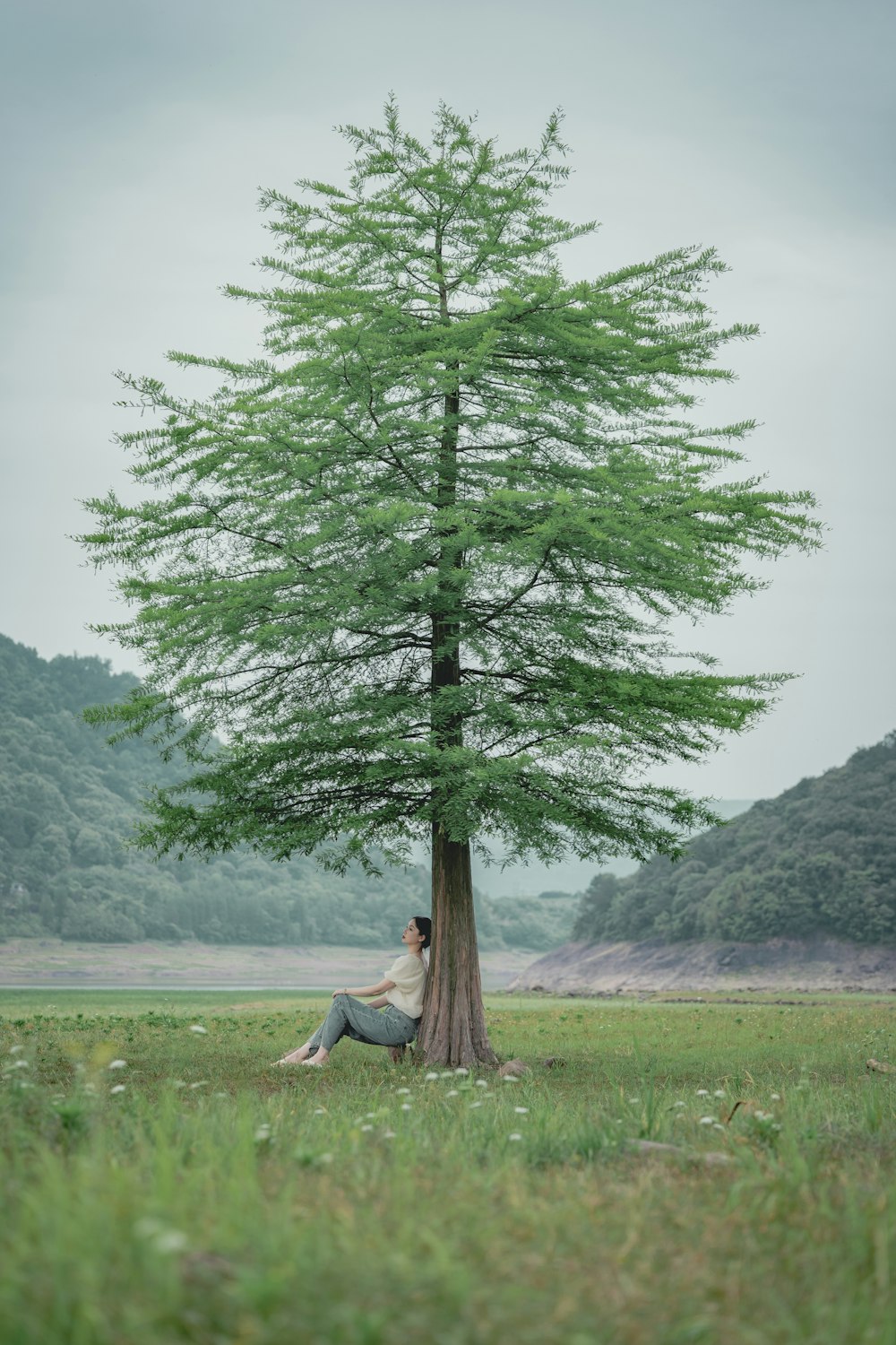 uma pessoa sentada sob uma árvore em um campo