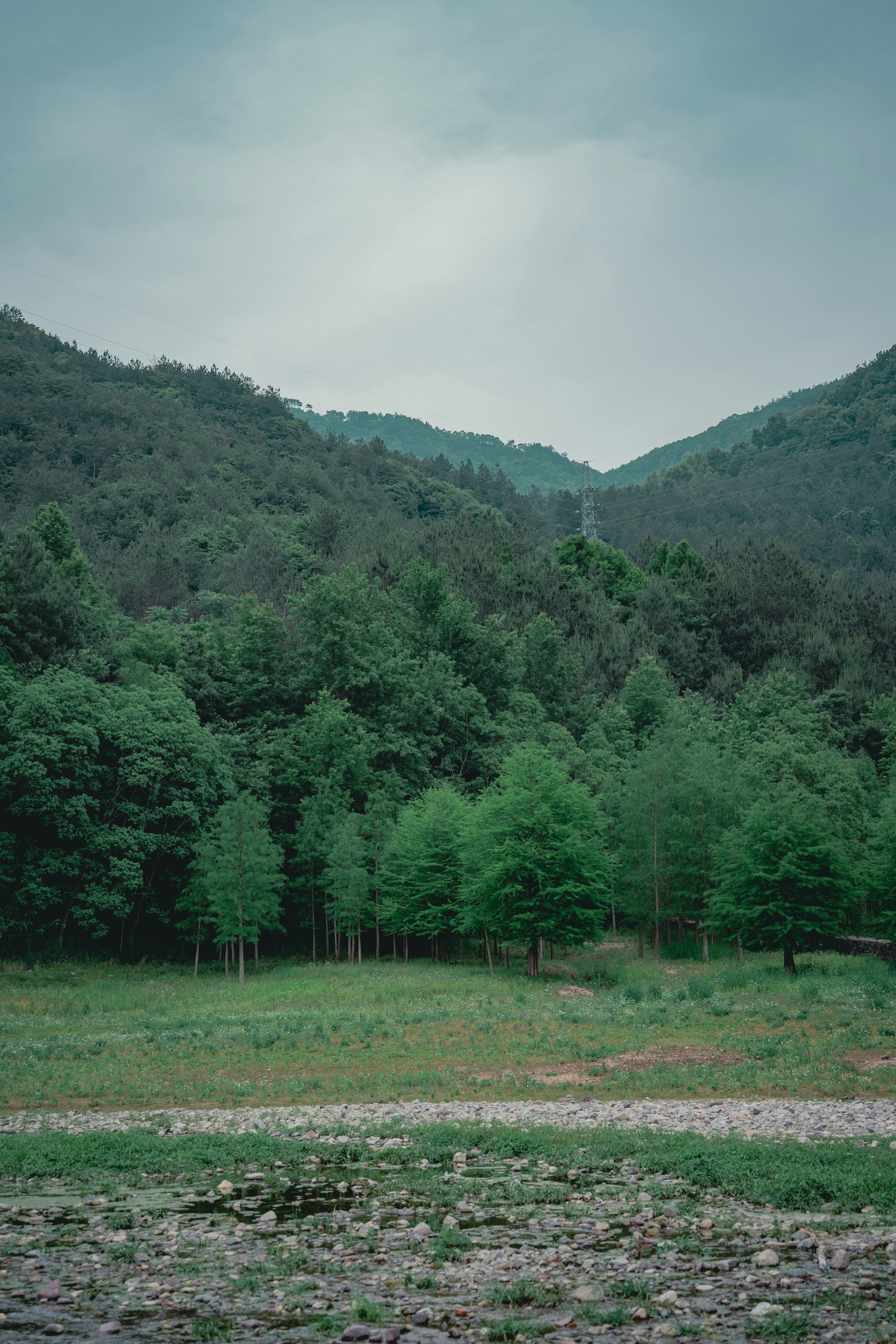 Photo by lwdzl