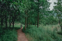 A lush, green forest landscape with a narrow dirt path winding through the trees. Two children are walking along the path, surrounded by dense foliage and tall trees. The atmosphere is calm and serene, with soft lighting filtering through the tree canopy.