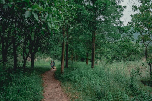 A lush, green forest landscape with a narrow dirt path winding through the trees. Two children are walking along the path, surrounded by dense foliage and tall trees. The atmosphere is calm and serene, with soft lighting filtering through the tree canopy.