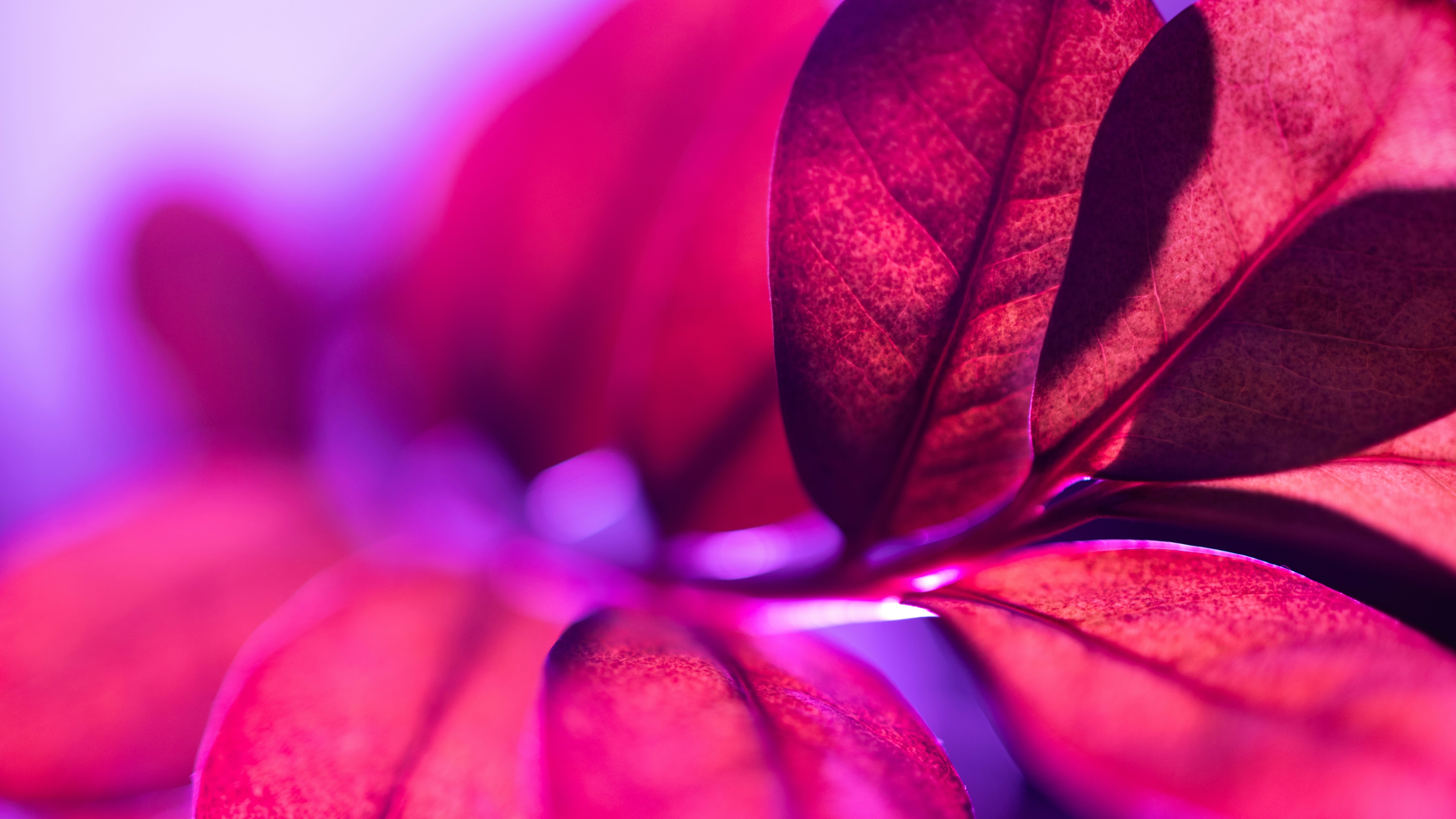 Photo by marekpiwnicki