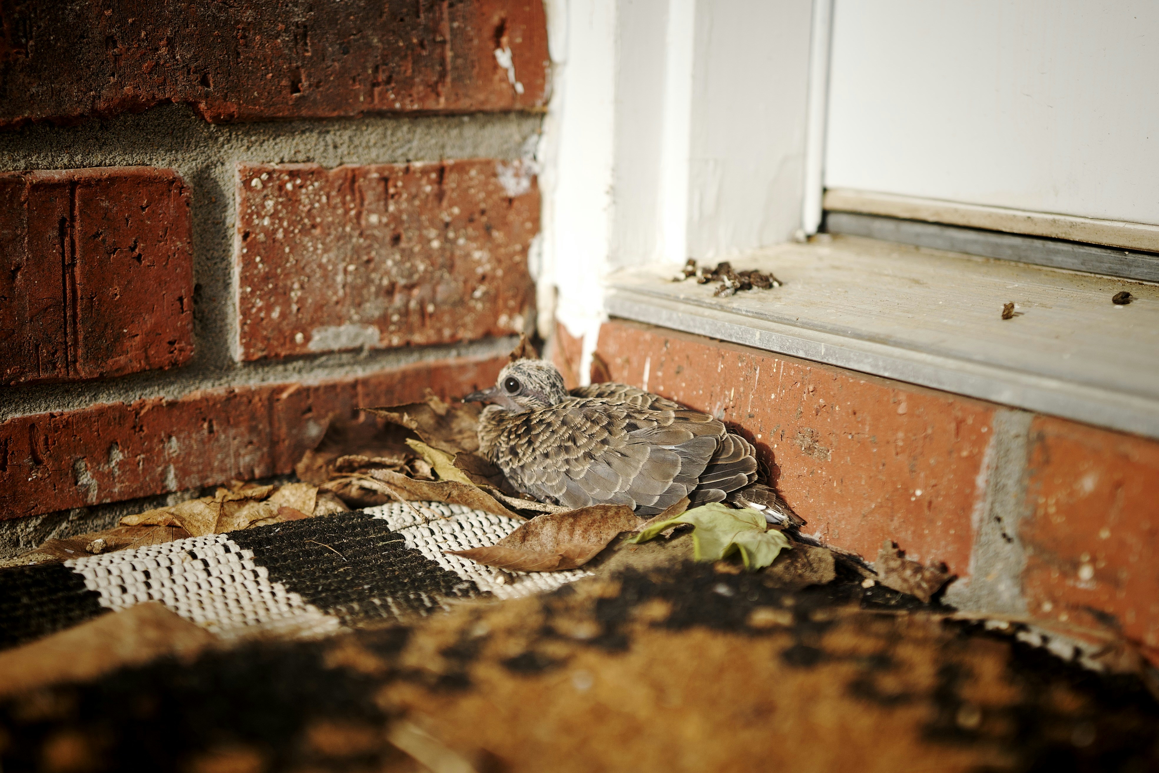 How to Stop being a Doormat Boundaries Guilt Peoplep...