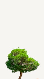 Photo 1684081888624 5ac24a6b513e?q=85&w=275&h=275&fit=crop