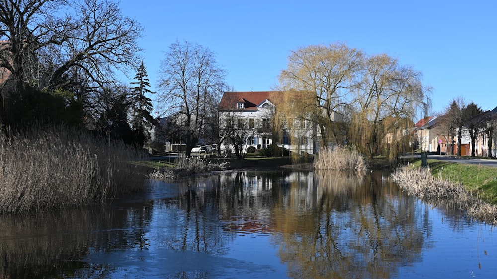 a body of water surrounded by trees and houses