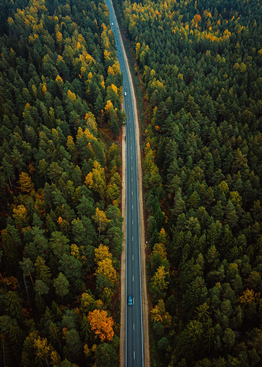 an aerial view of a road in the middle of a forest