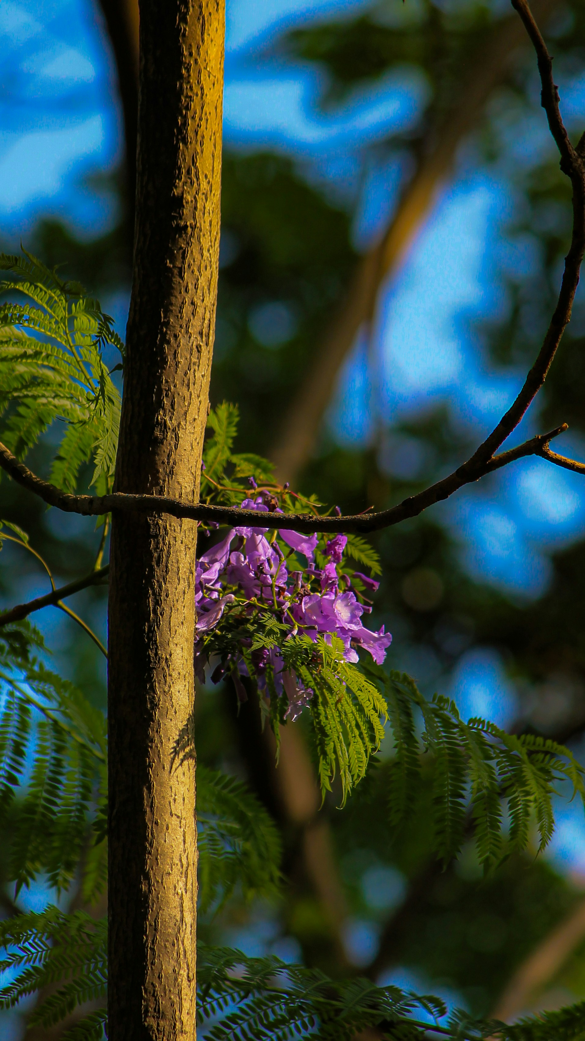 Photo by vedant17