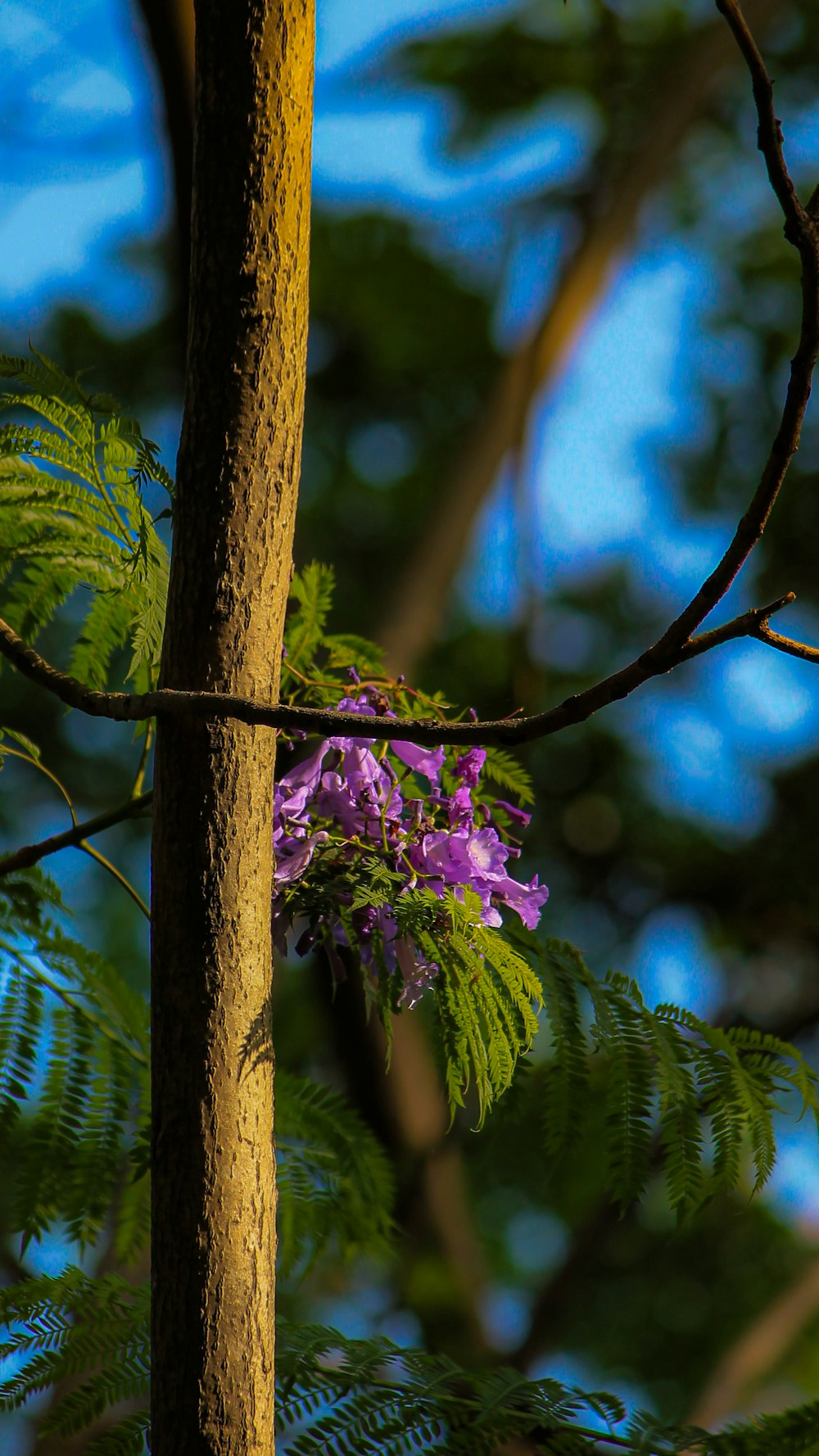 a bird perched on a branch of a tree