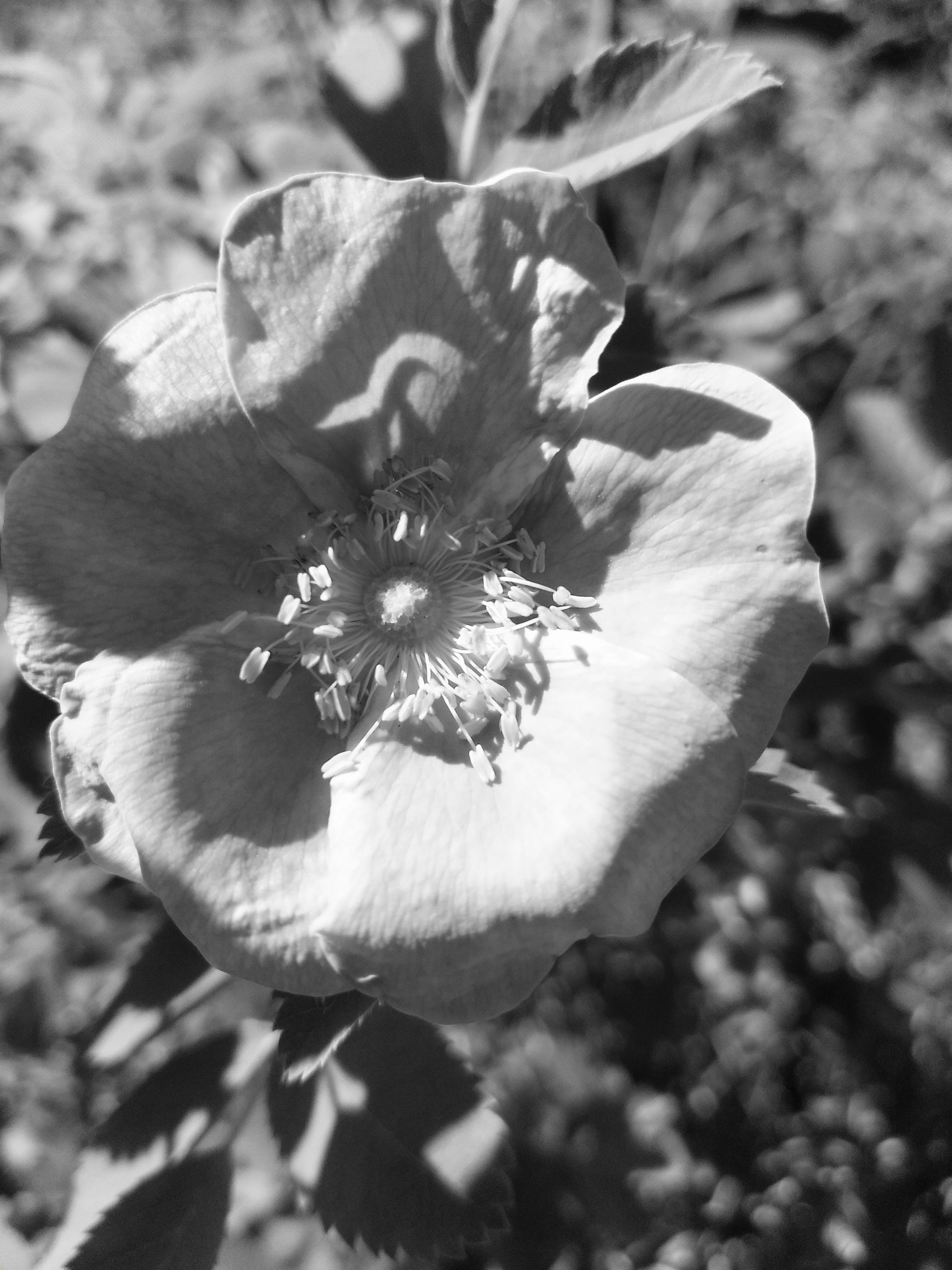 outdoor camping wallpaper, wallpaper, DIY Camping Gear: Build Your Own Adventure 4