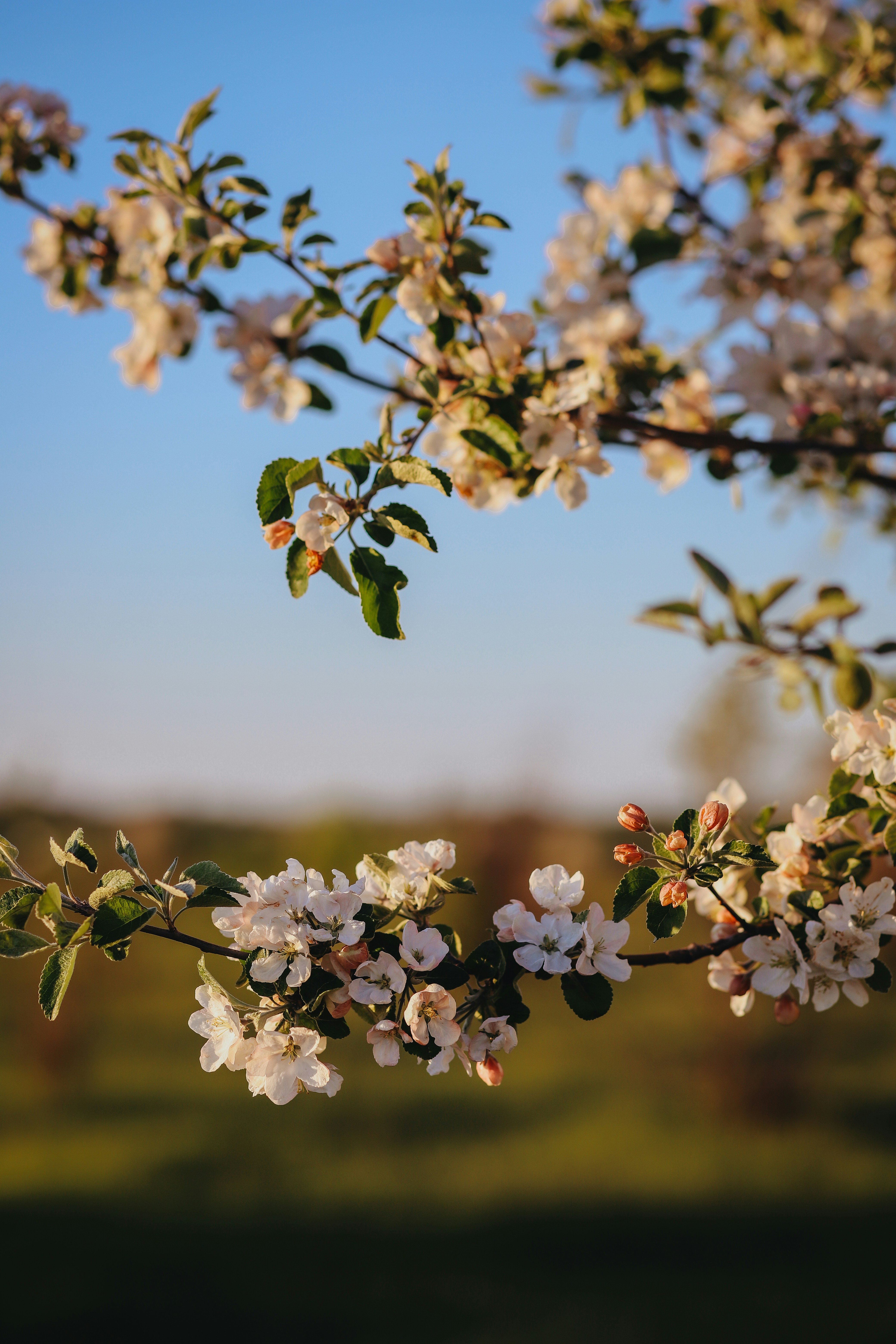 Photo by zagranyasha