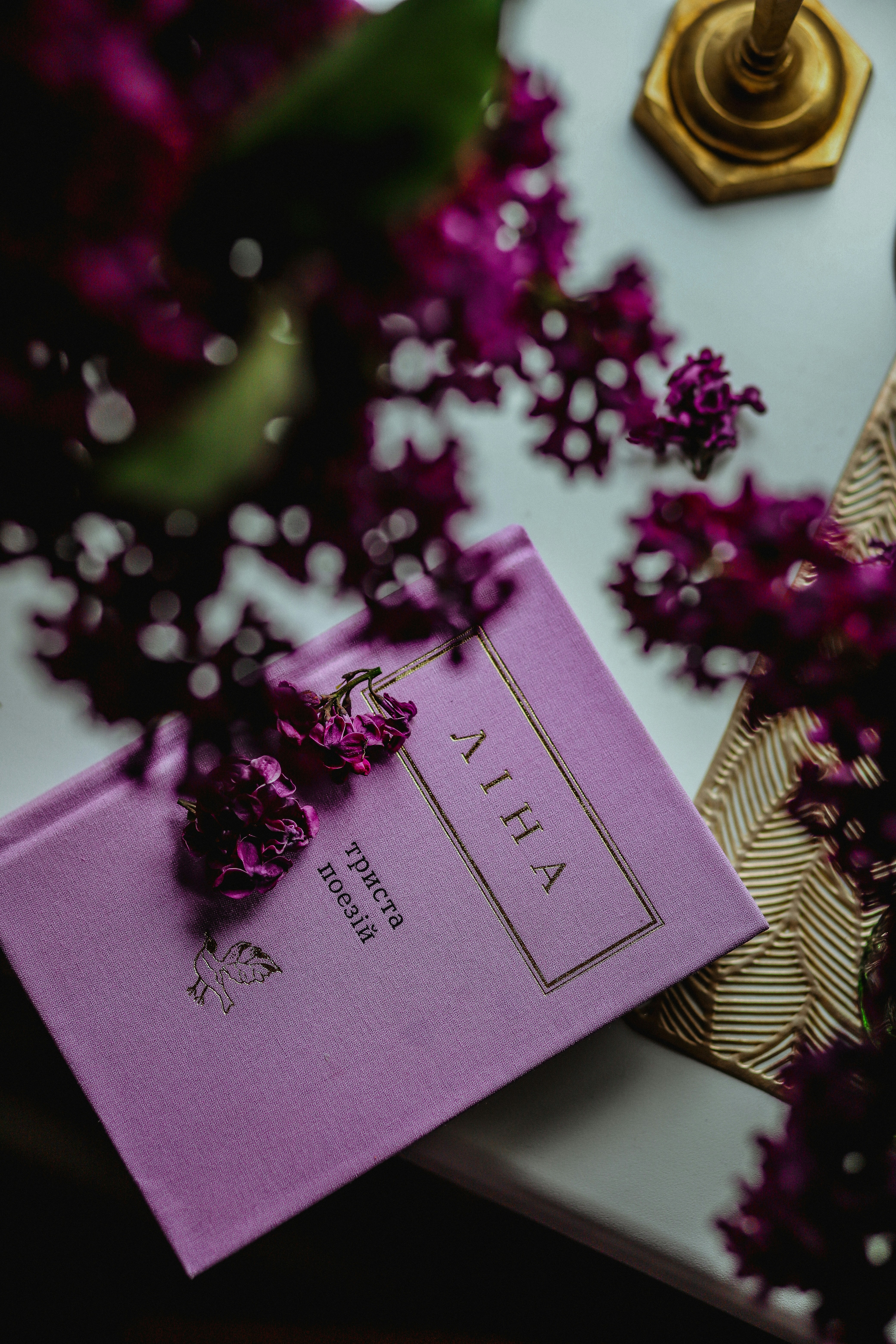 Photo by zagranyasha