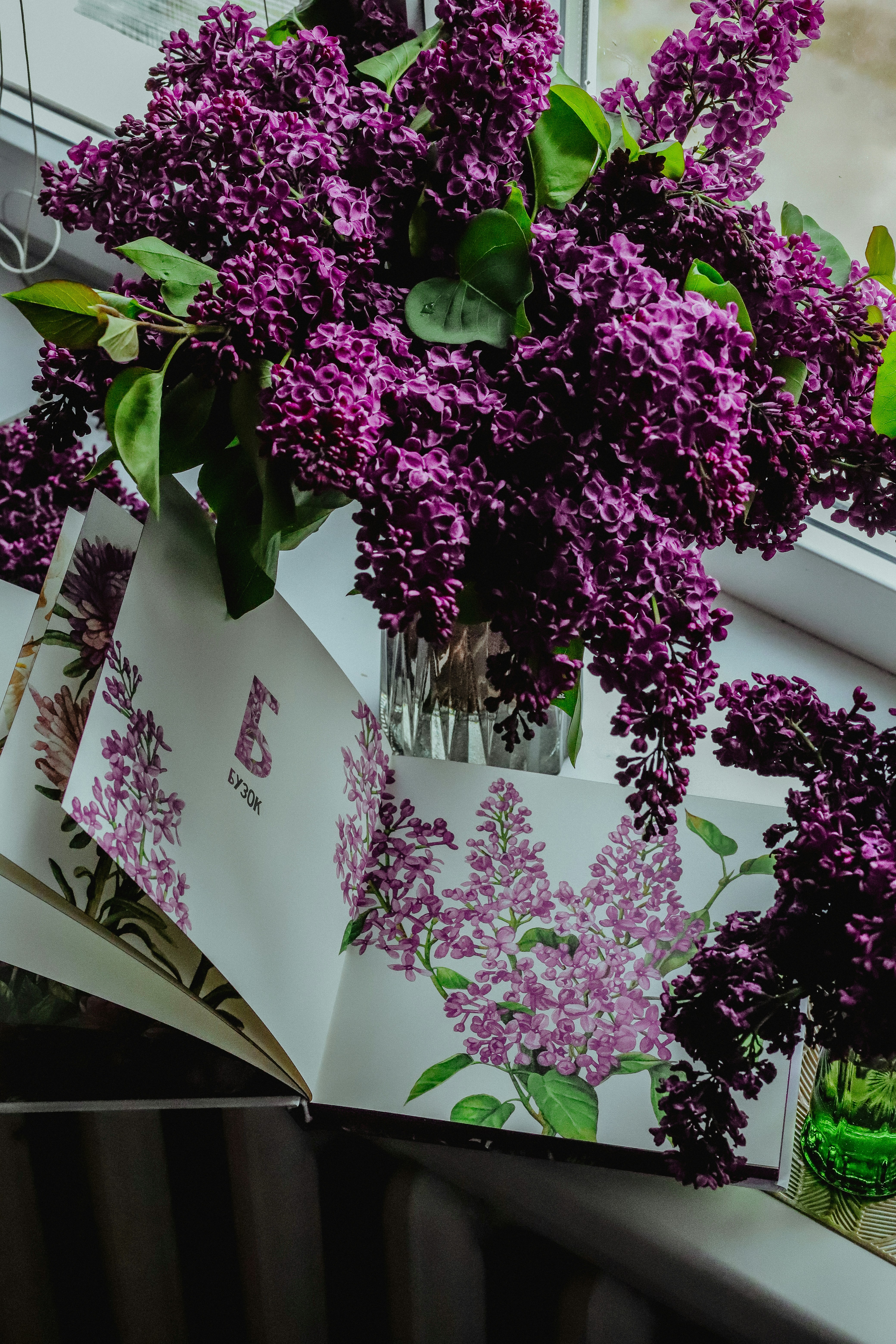a vase filled with purple flowers sitting on top of a window sill