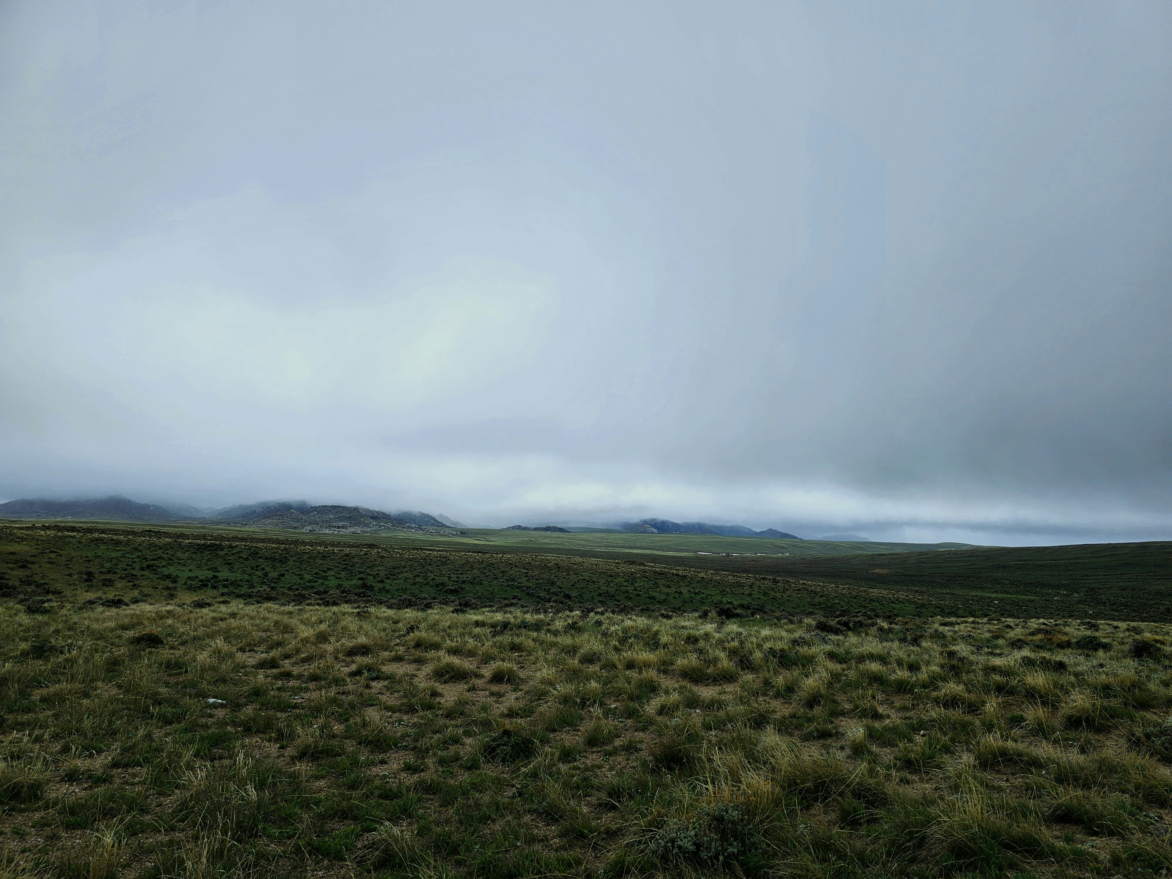 Photo by rich_gonzales17