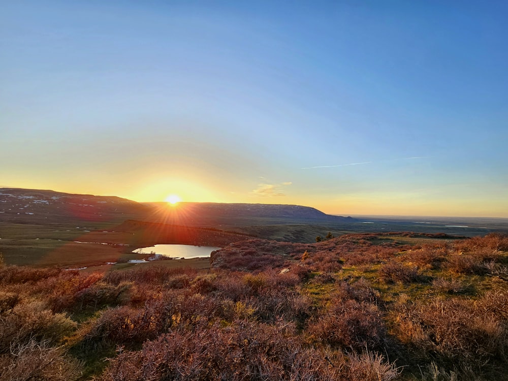 the sun is setting over a grassy field