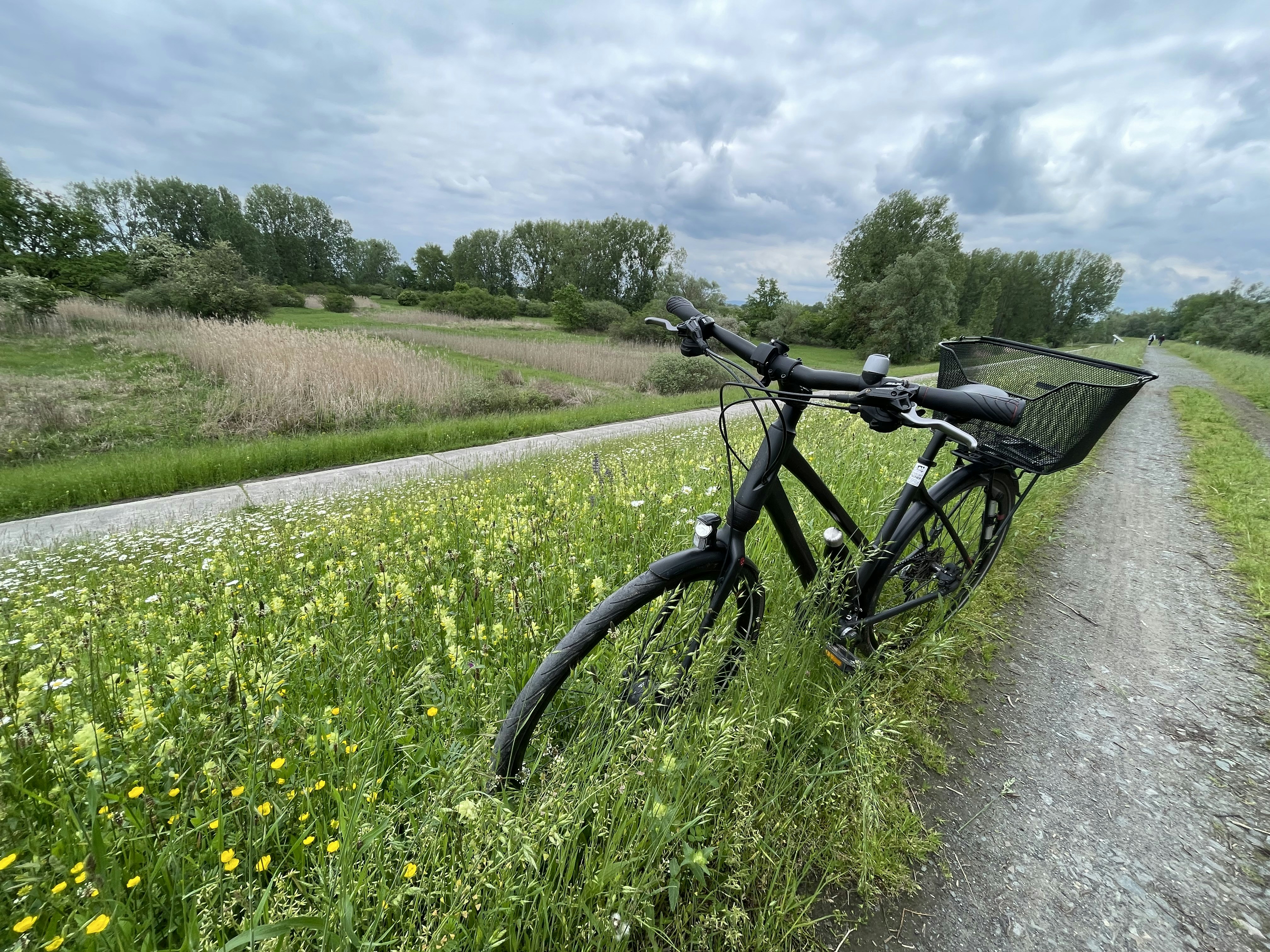 a bike parked on the side of a dirt road