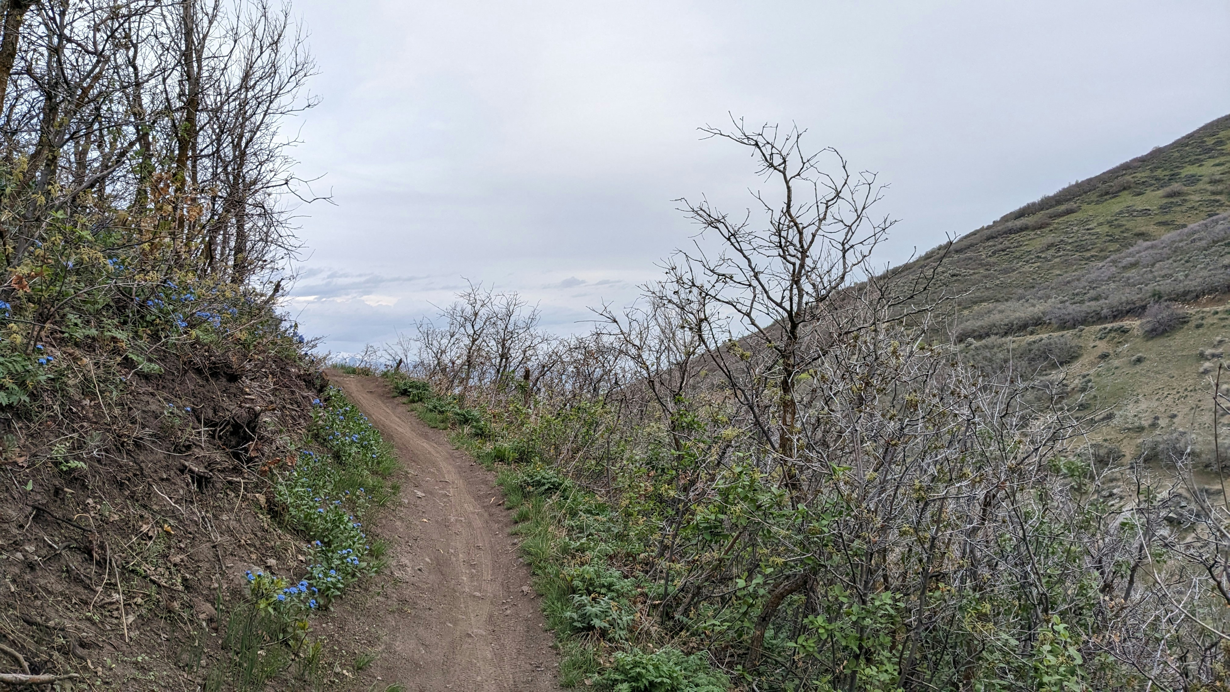 Photo by kevinzollinger