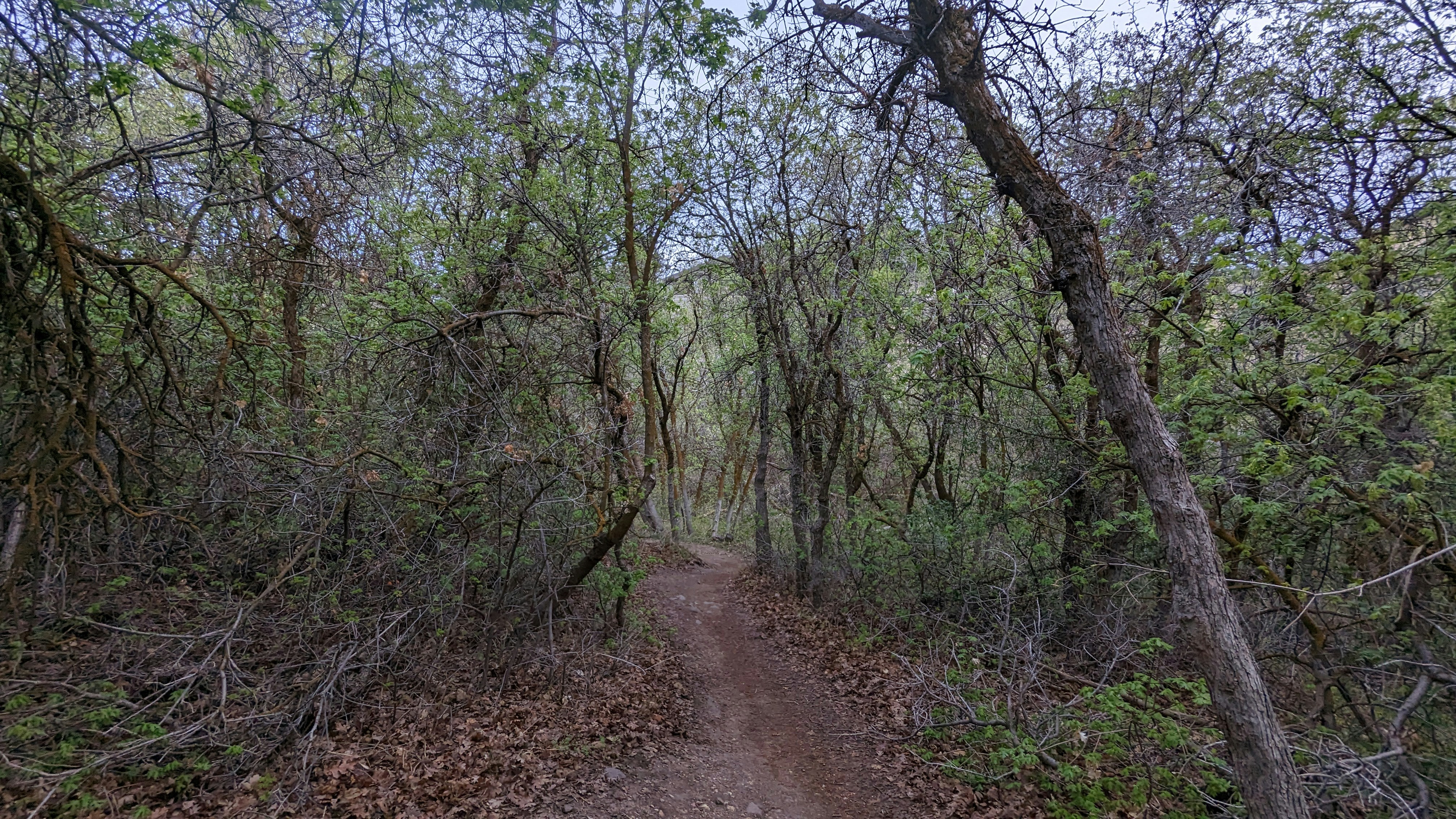 Photo by kevinzollinger