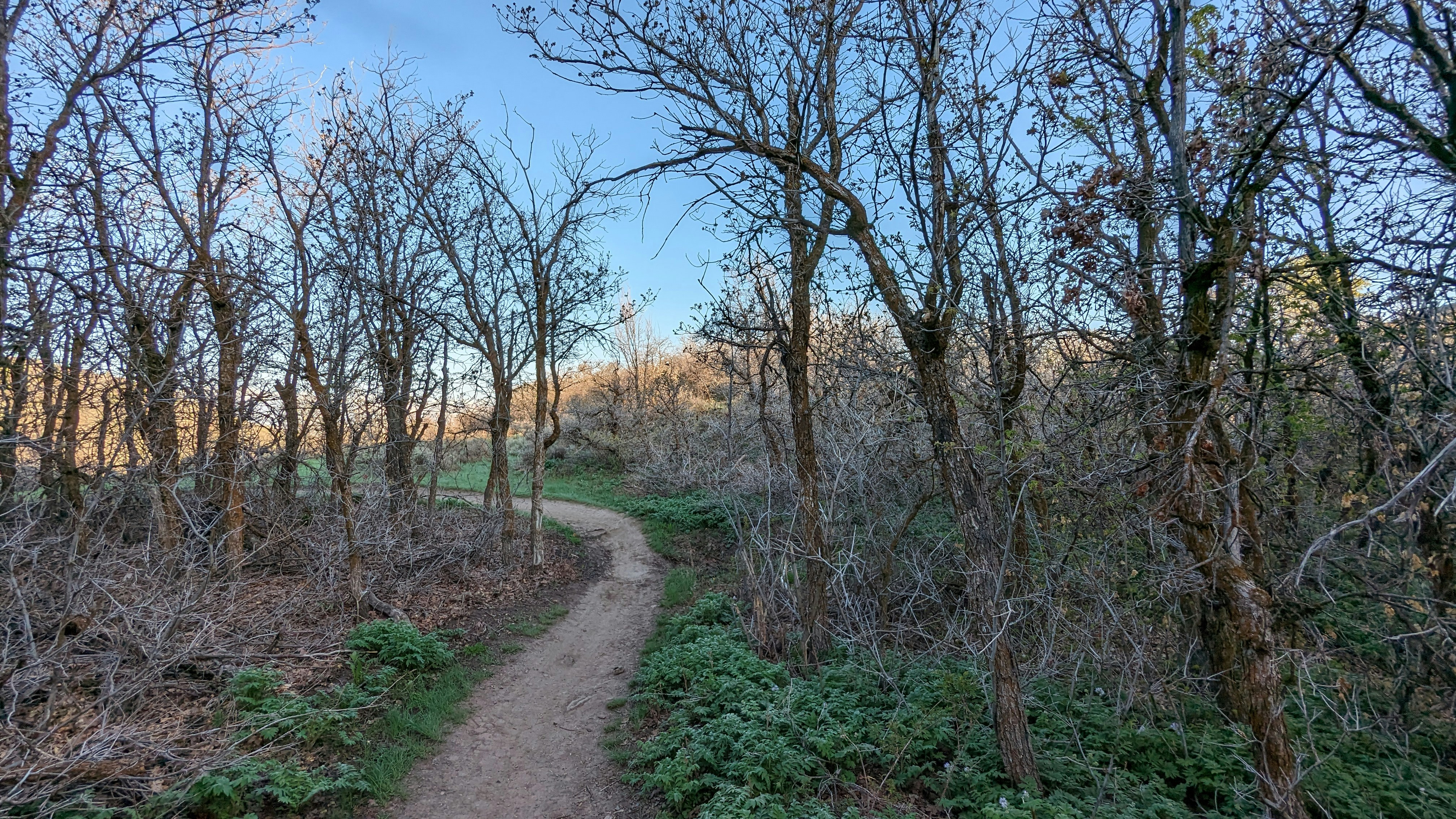 Photo by kevinzollinger