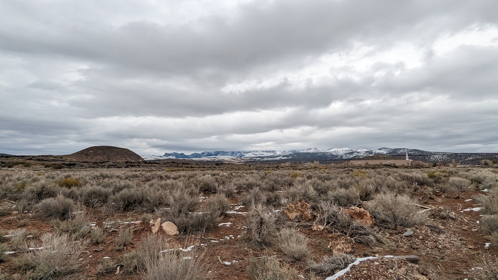 a field with a mountain in the background