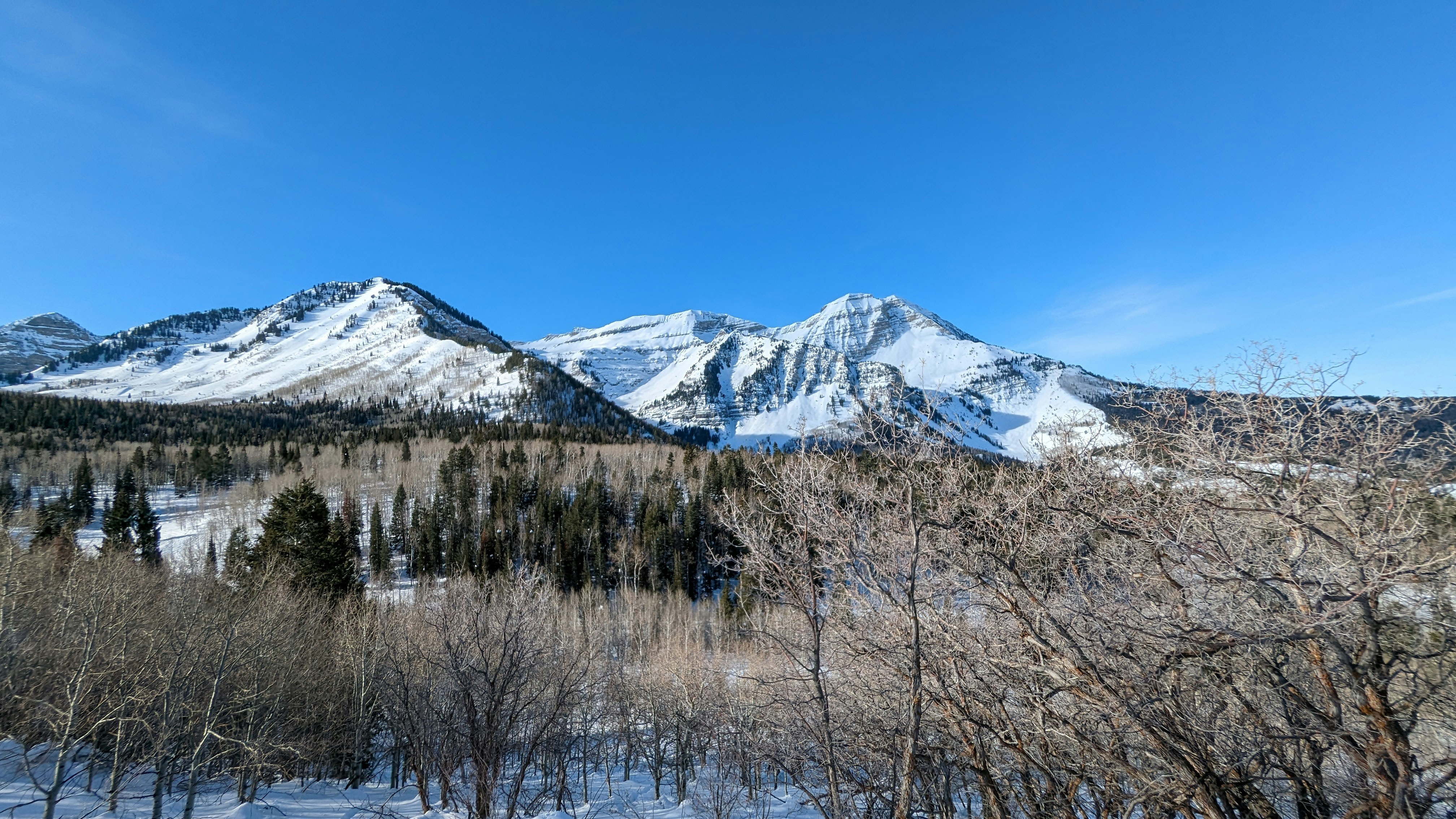 Photo by kevinzollinger