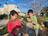 Children playing together in a backyard.