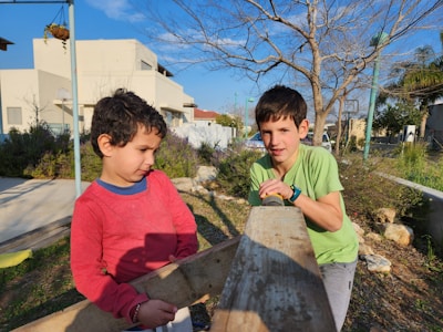 Children playing together in a backyard.