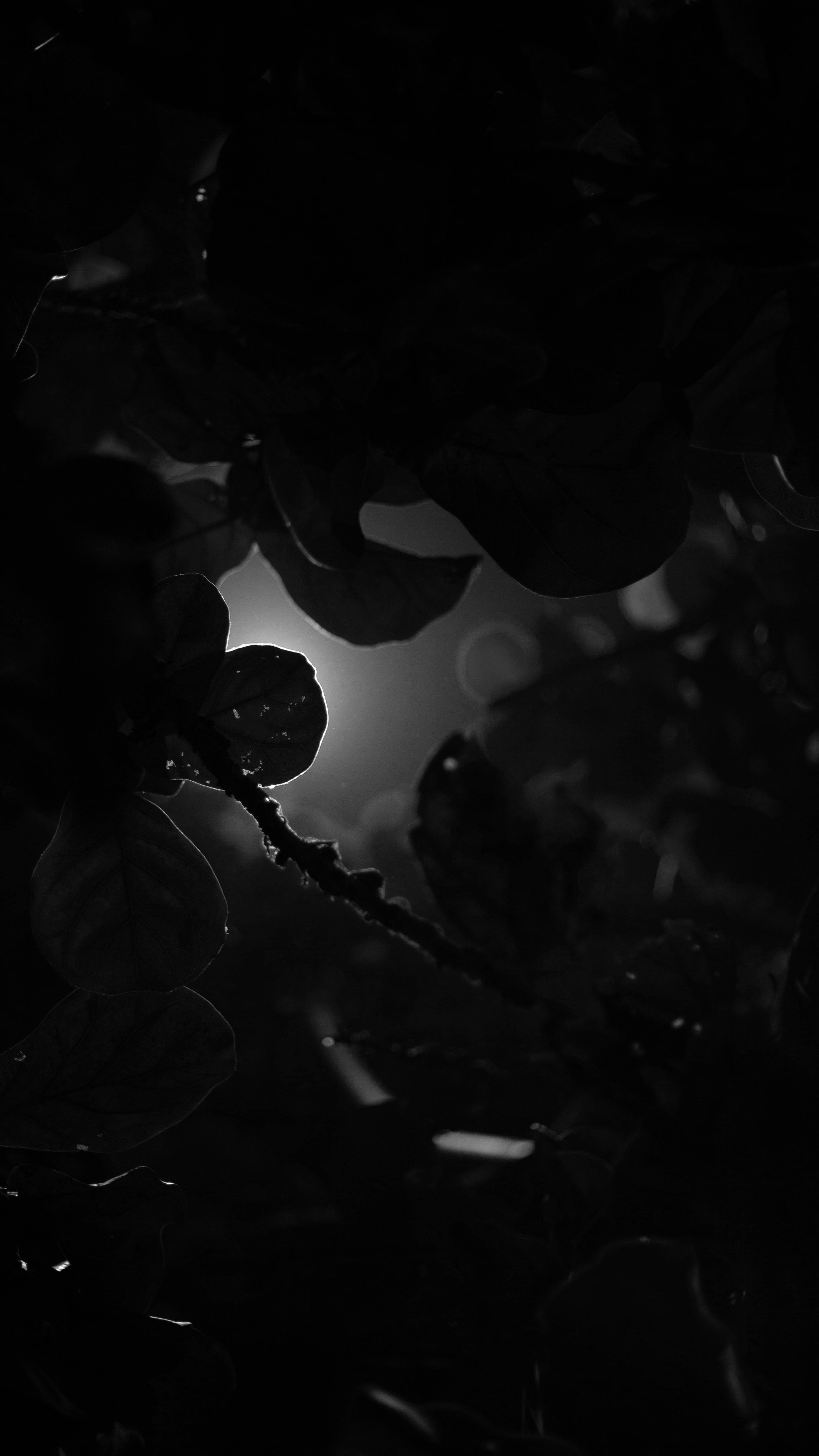 Photo by shhaayyoonn