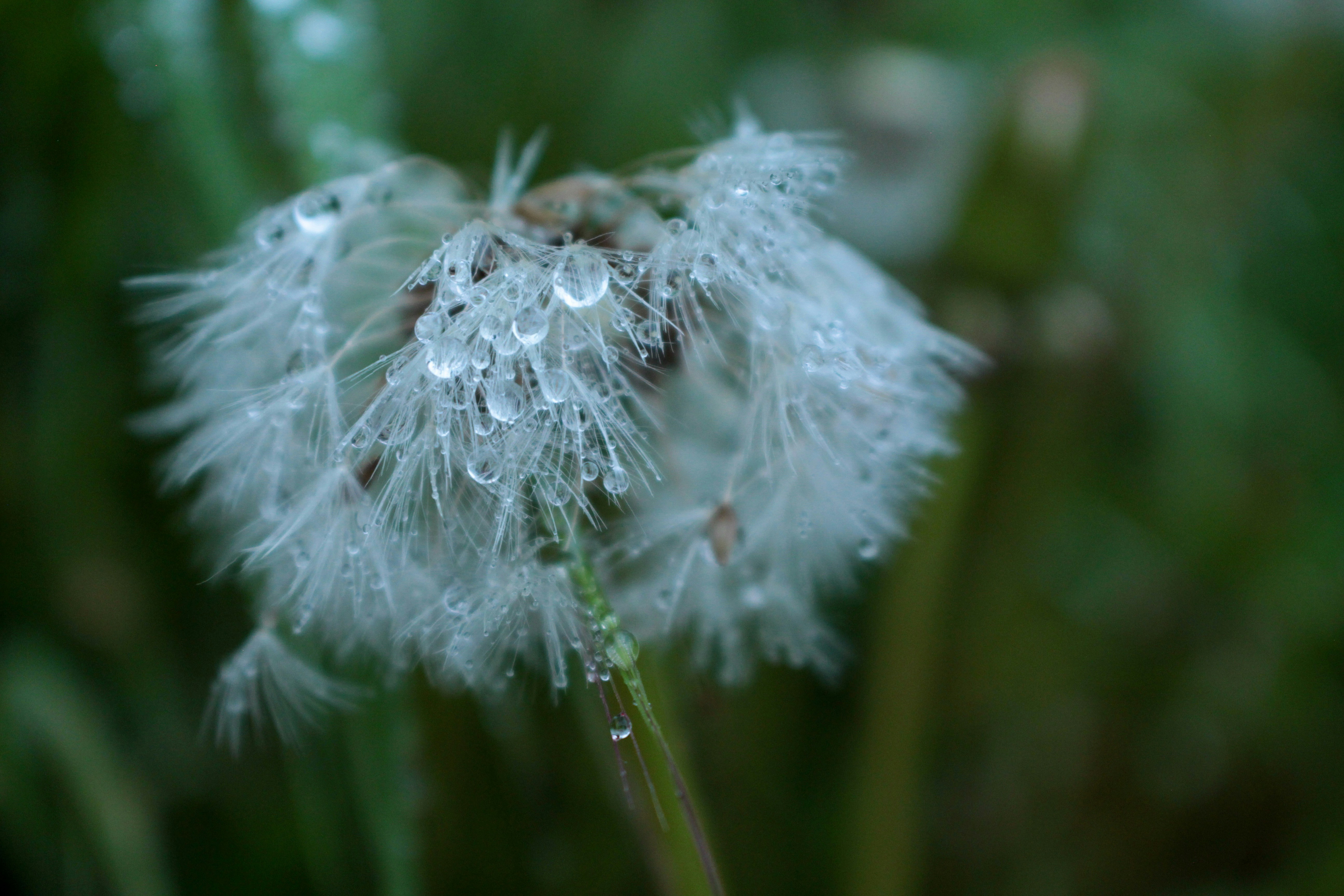 Photo by eftaylor