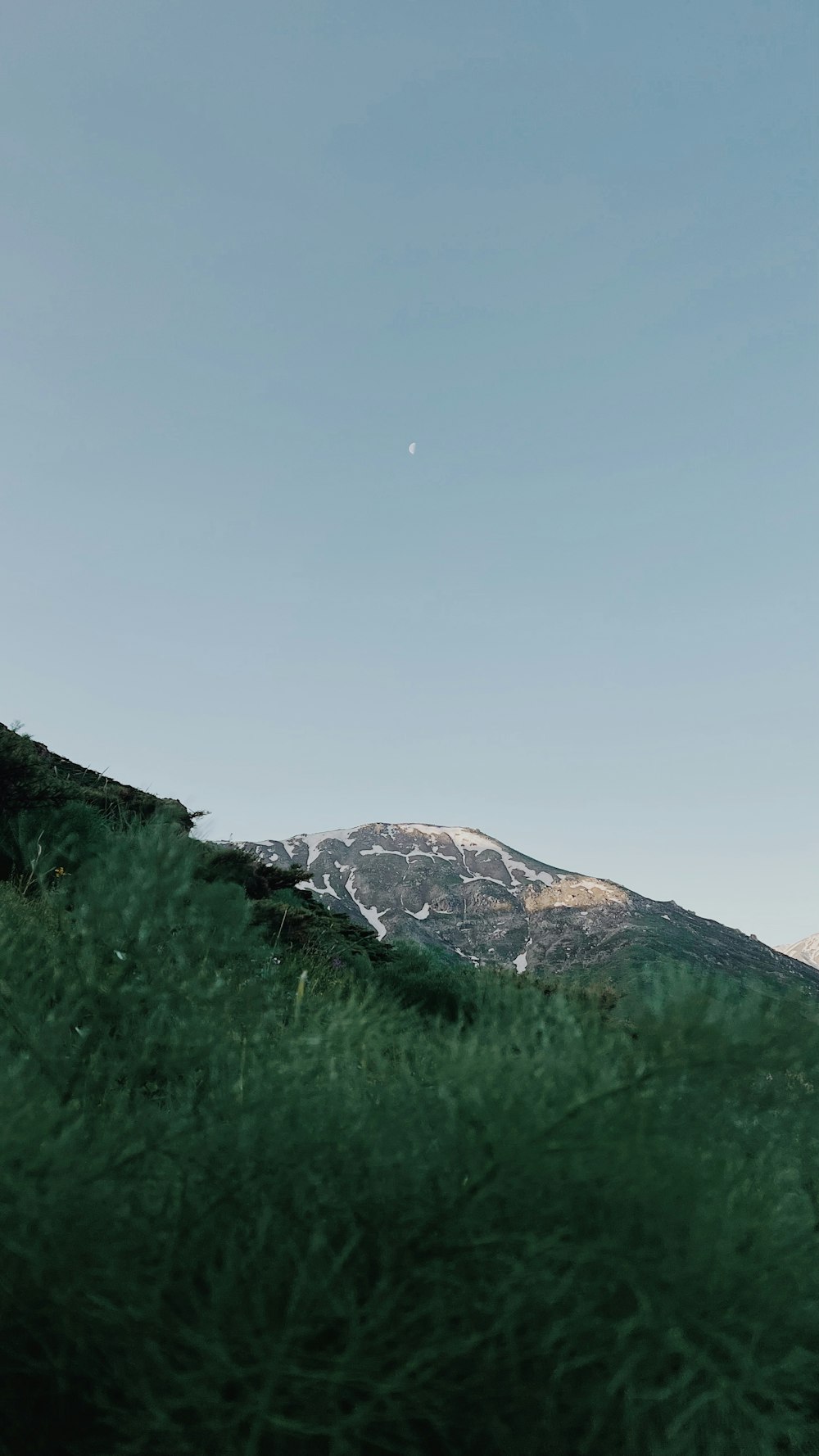 a grassy field with a mountain in the background