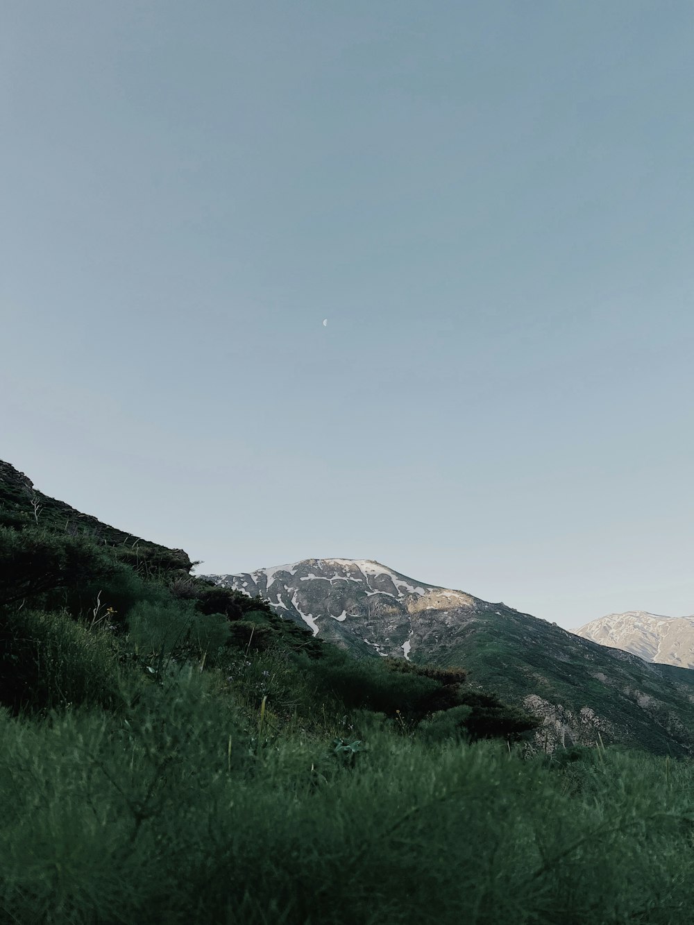 a grassy field with mountains in the background