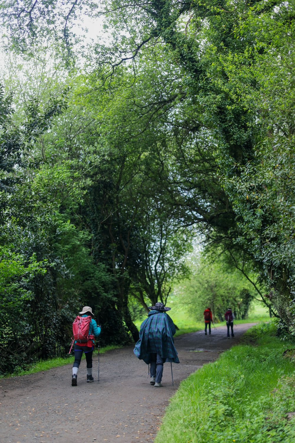 a couple of people walking down a dirt road