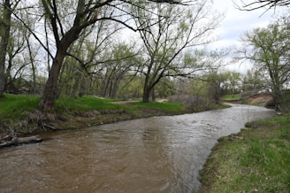 A peaceful view of the Cherith Creek flowing gently through a lush green landscape.