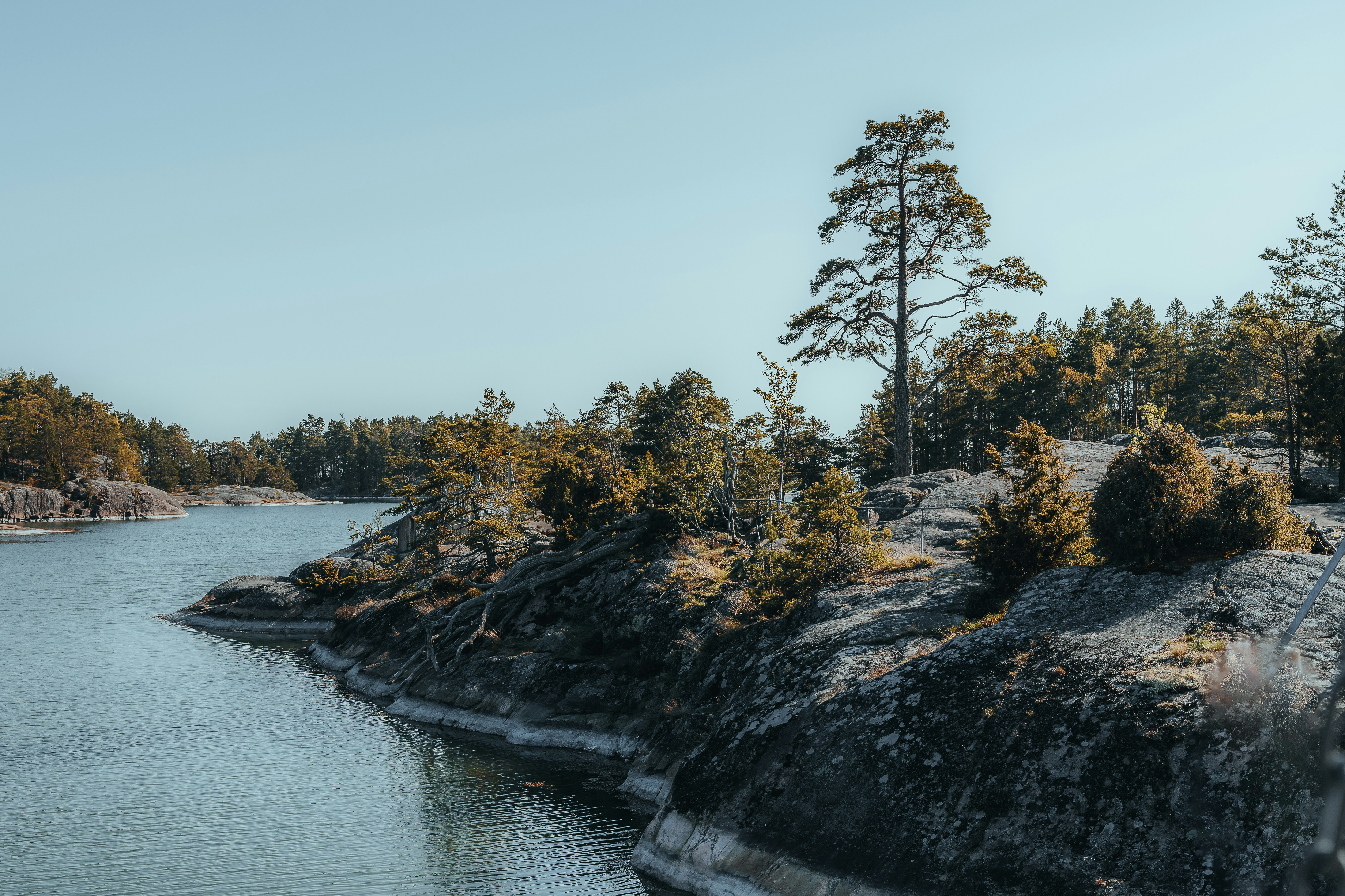 Photo by masoodaslami