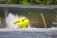 A vibrant yellow raft is flipping over the edge of a small waterfall or weir. Water splashes forcefully around the raft, indicating strong currents. Dense green foliage forms the backdrop, framing the scene with natural greenery.