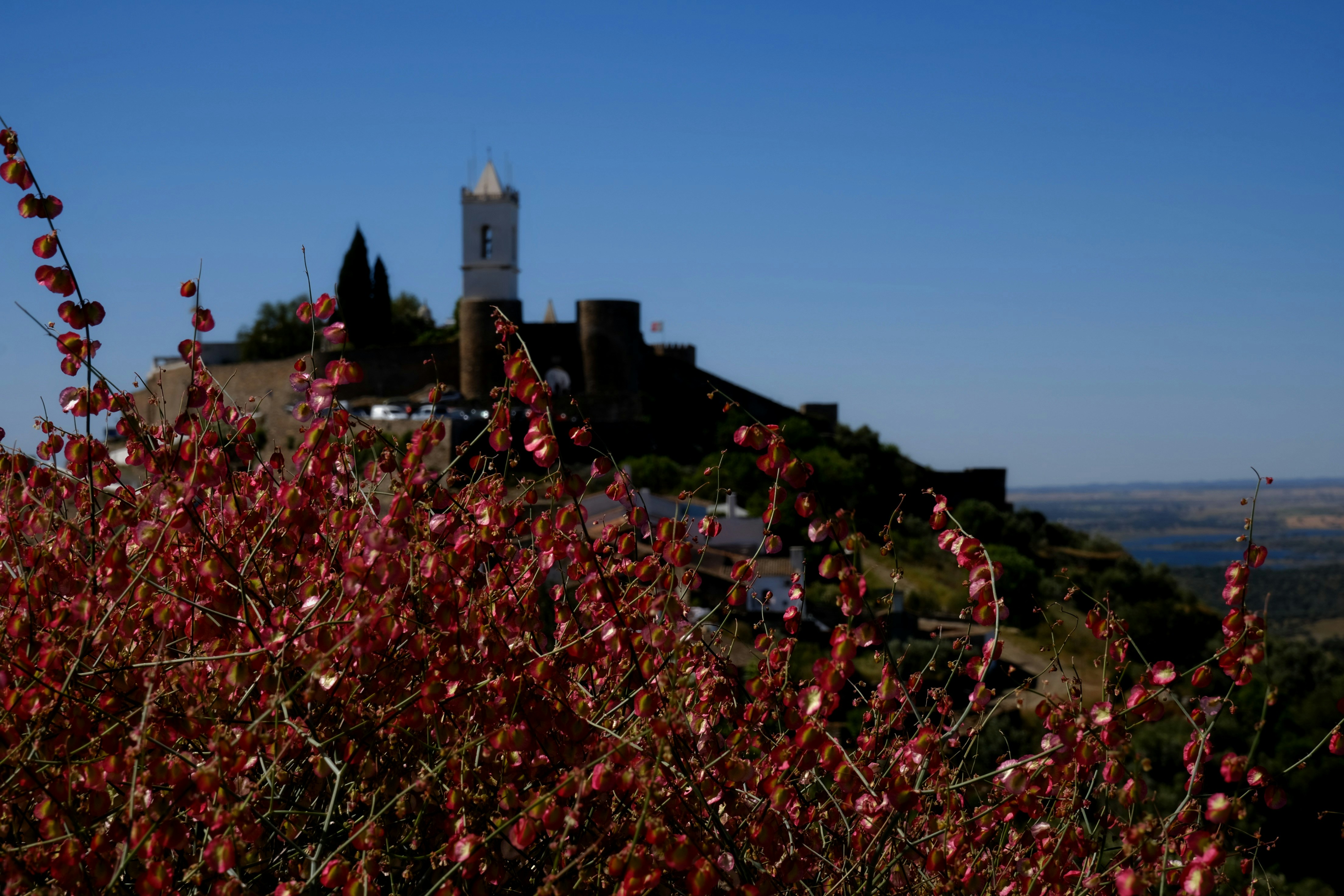 a view of a small town from a hill