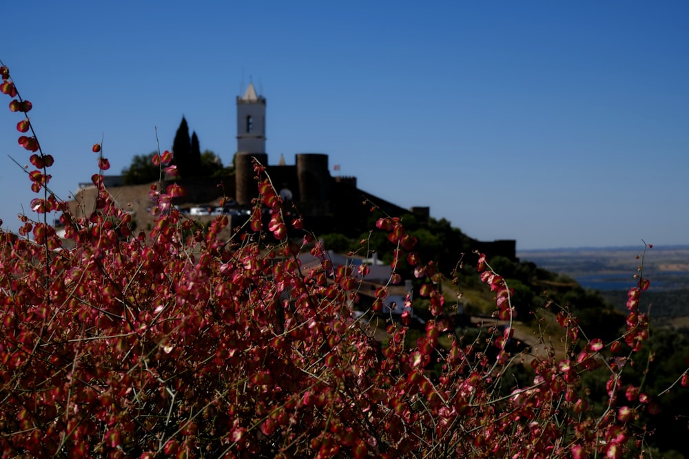 a view of a small town from a hill