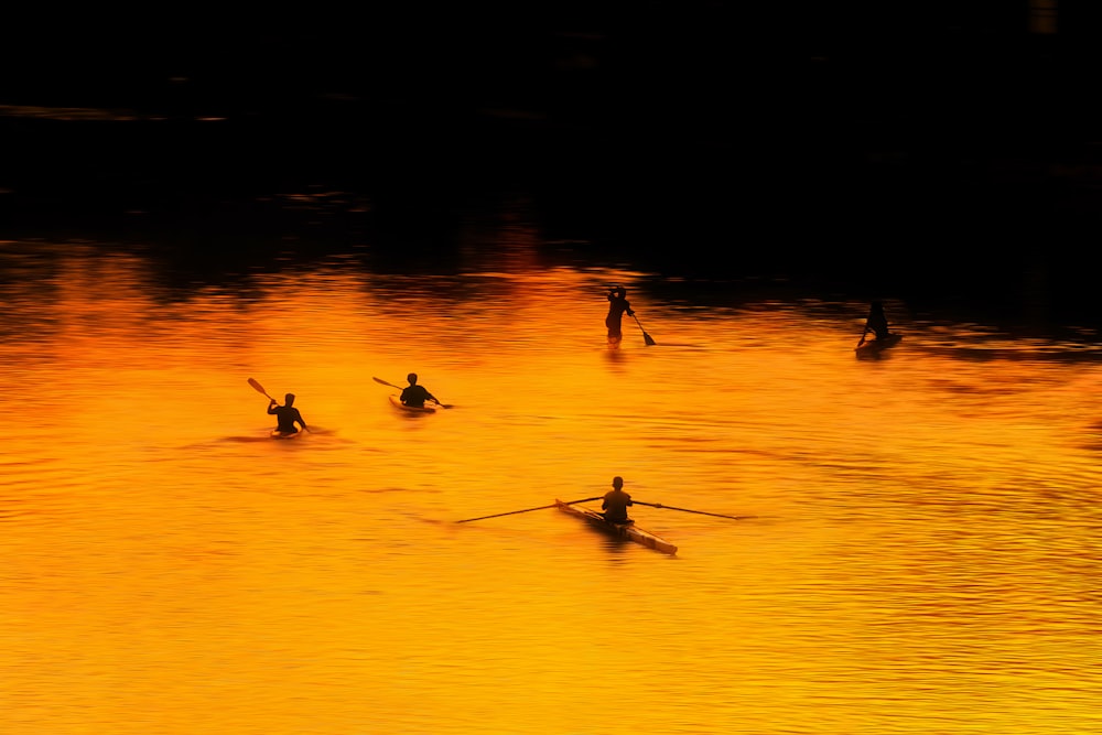 a group of people riding paddle boards on top of a lake