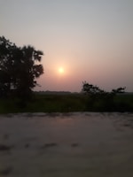 An image capturing a serene landscape painting with warm, inviting colors.