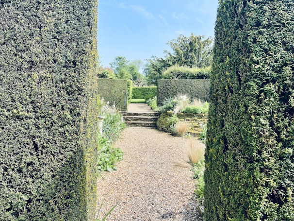 A meticulously maintained garden pathway lined with colorful flowers and soft landscape lighting.