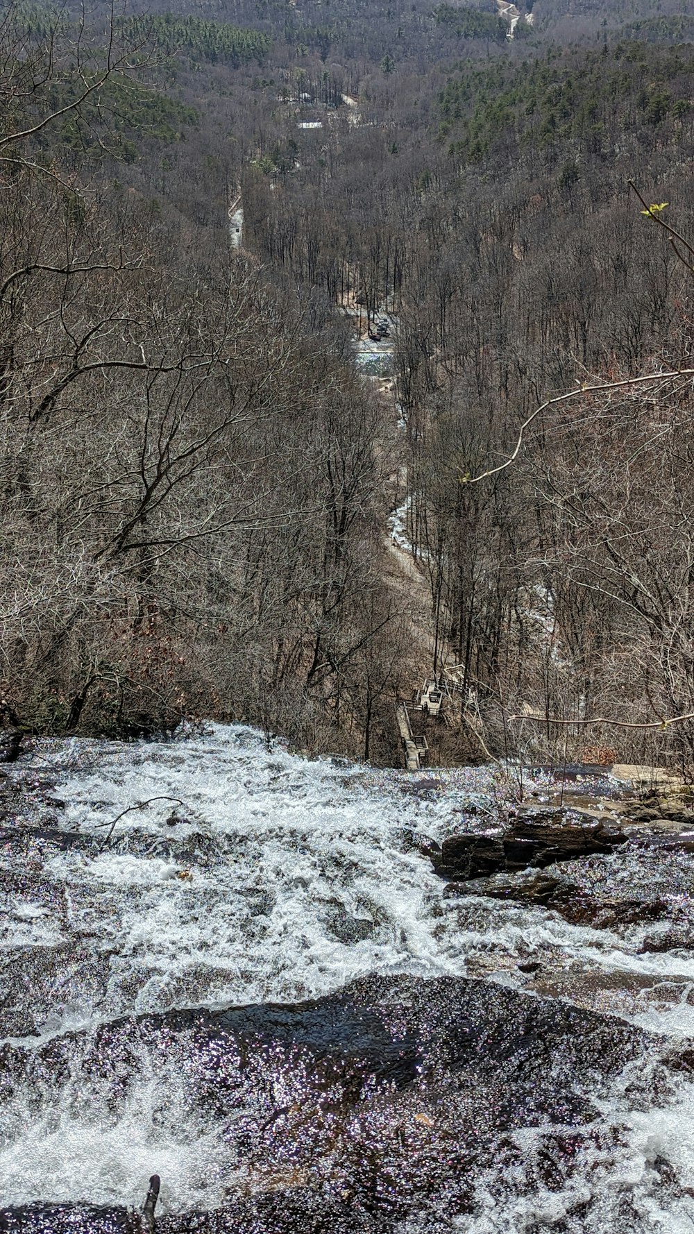 a river running through a forest filled with trees