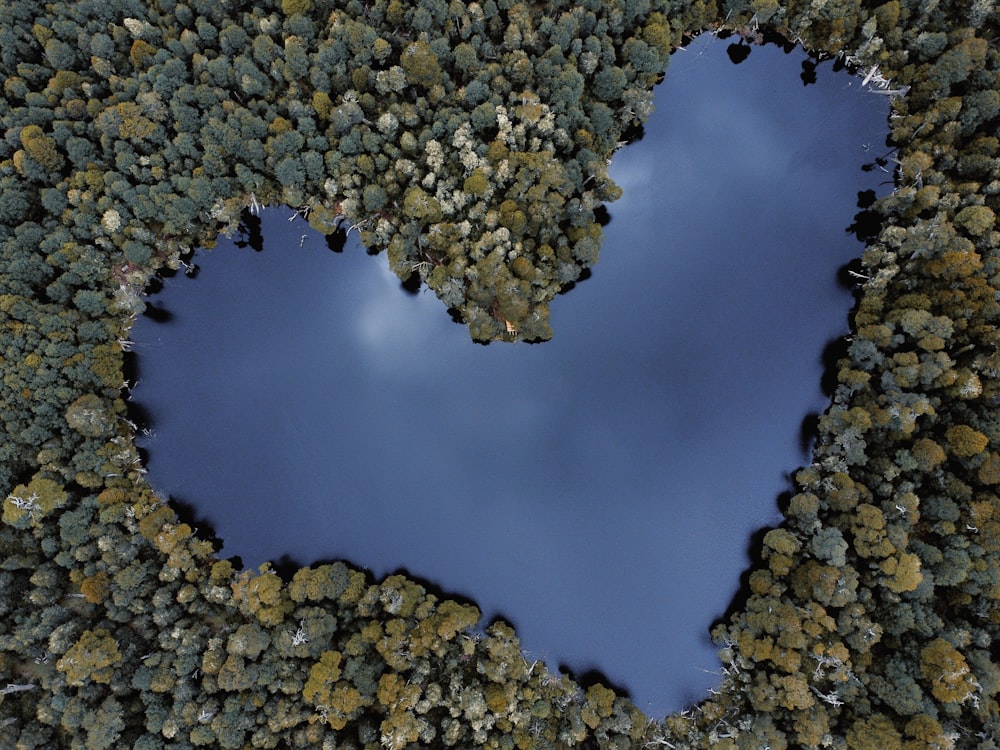 a heart shaped lake surrounded by trees
