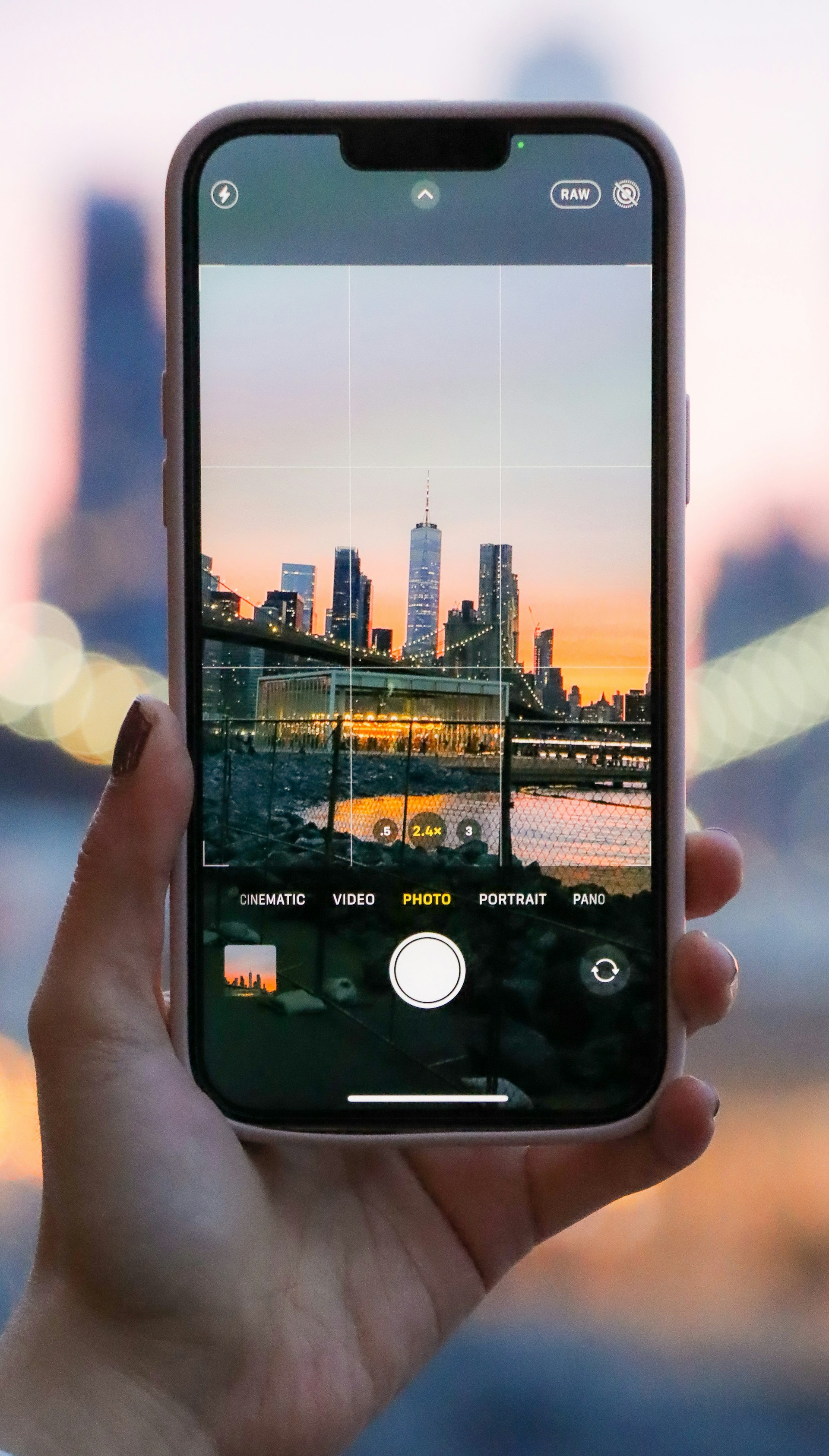 woman holding dried flower