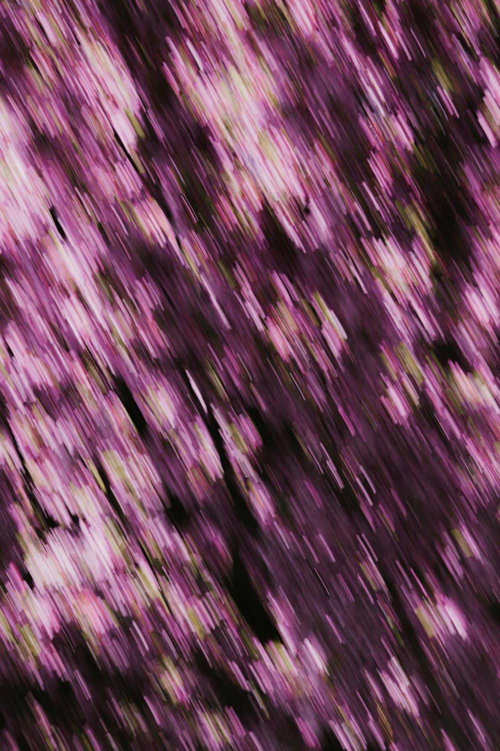 a blurry photo of a tree with purple flowers