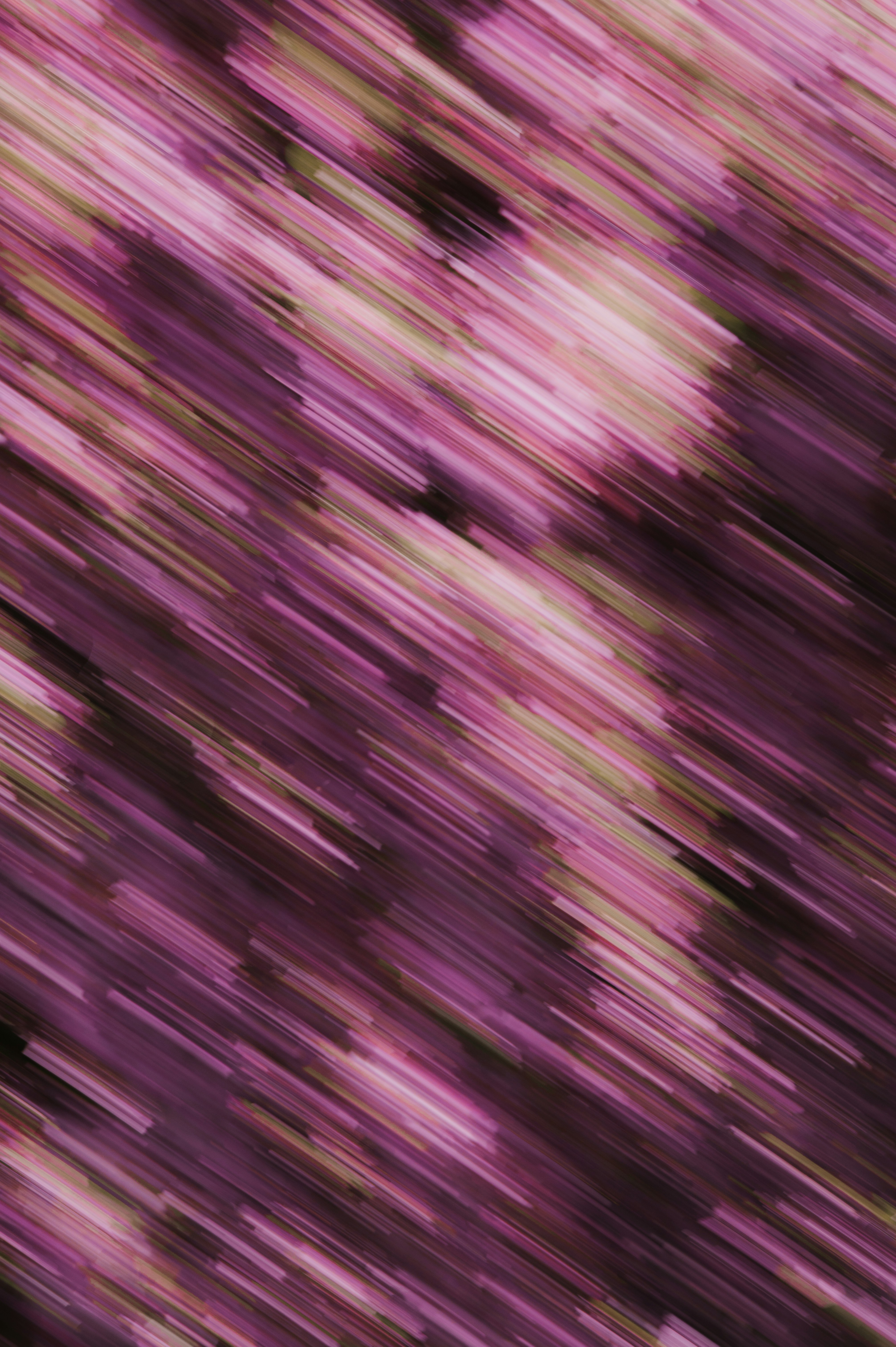 Photo by ryunosuke_kikuno