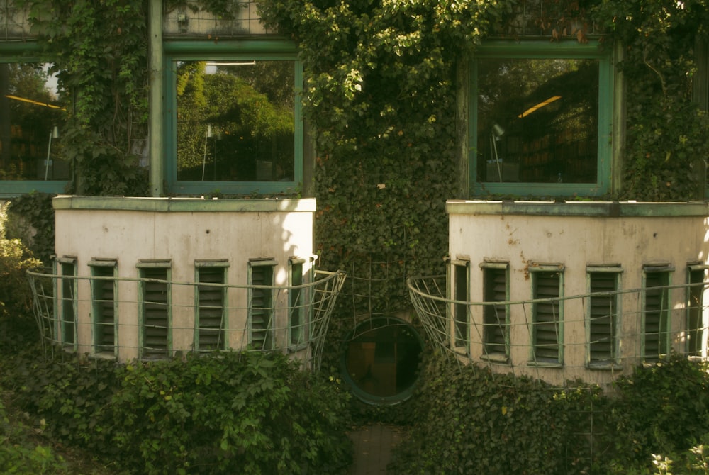a building covered in vines with two windows