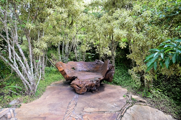 A unique live-edge wood bench placed outdoors, highlighting the natural contours of the wood.