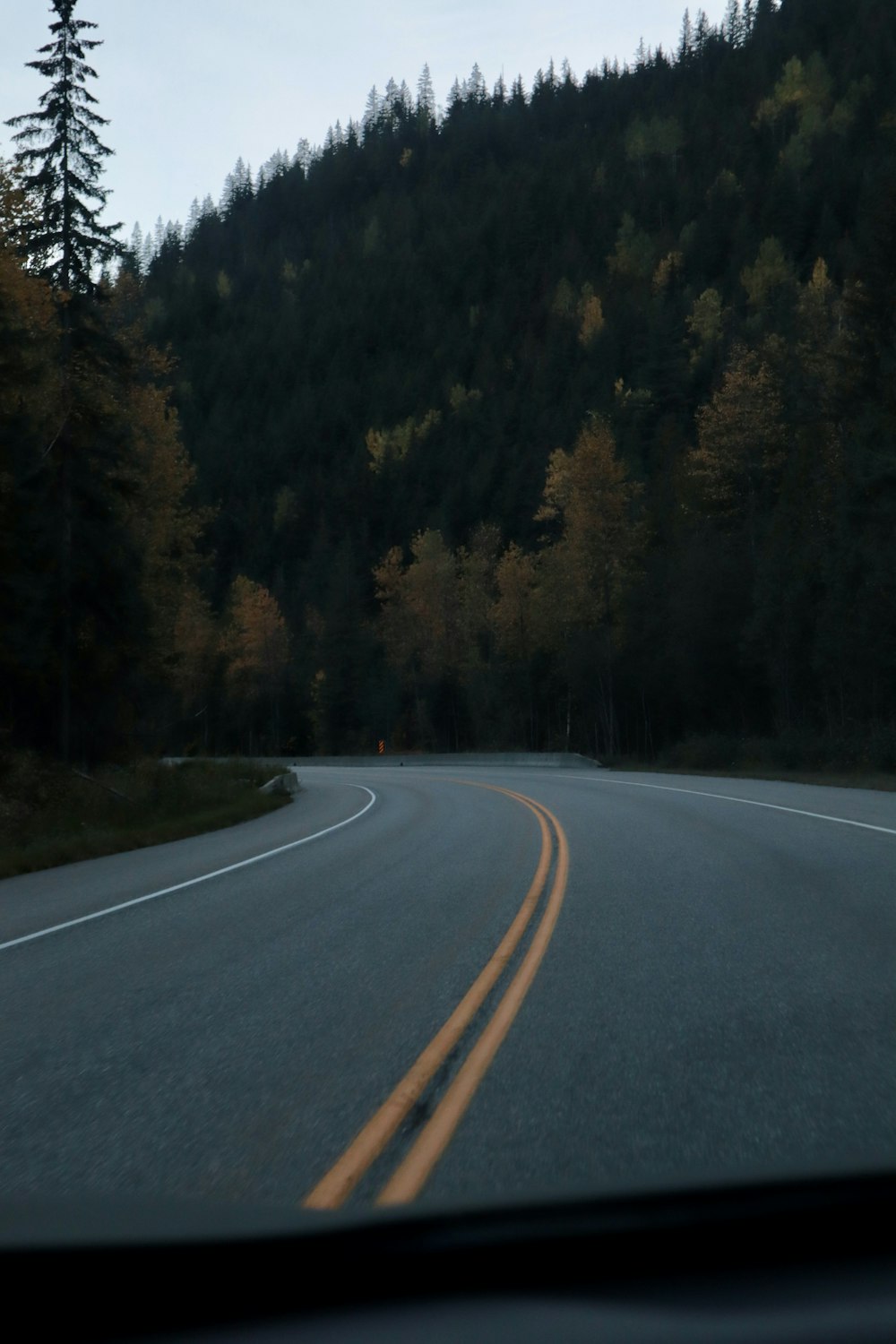 a car driving down a road next to a forest