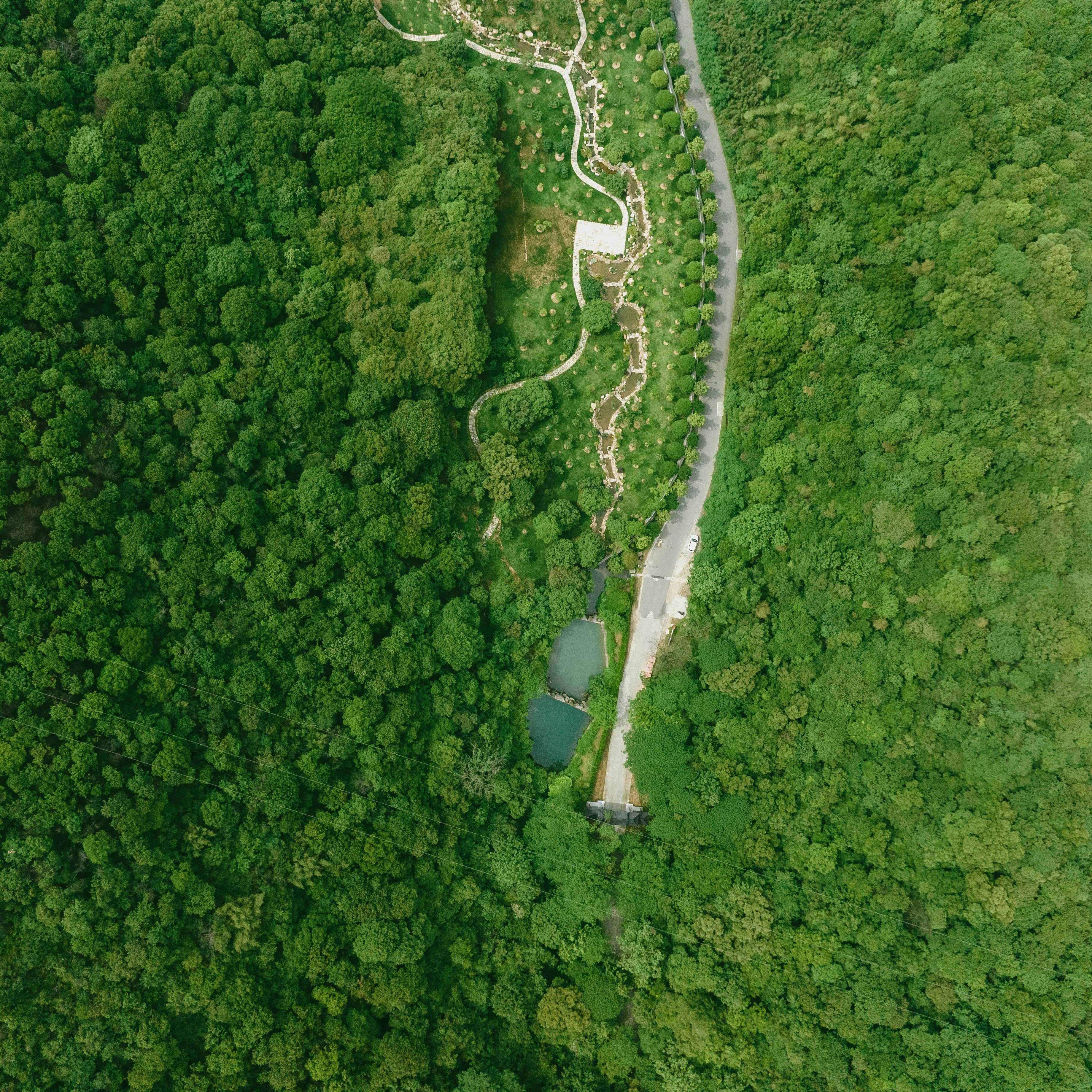 Photo by yooho962464