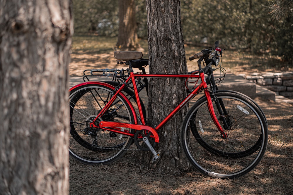 a red bicycle parked next to a tree
