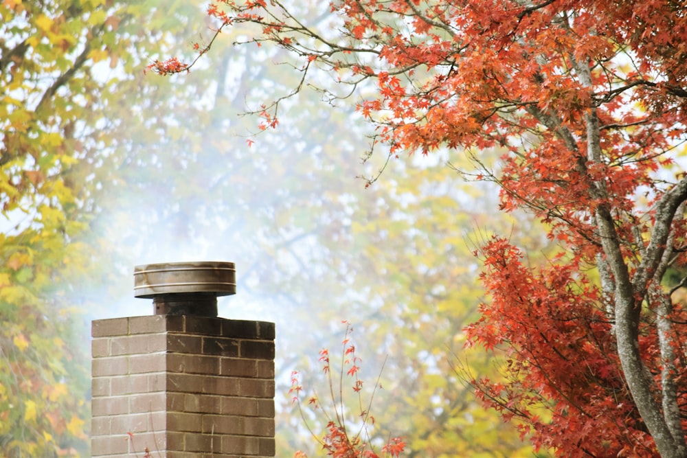 a brick chimney in front of a tree with red leaves