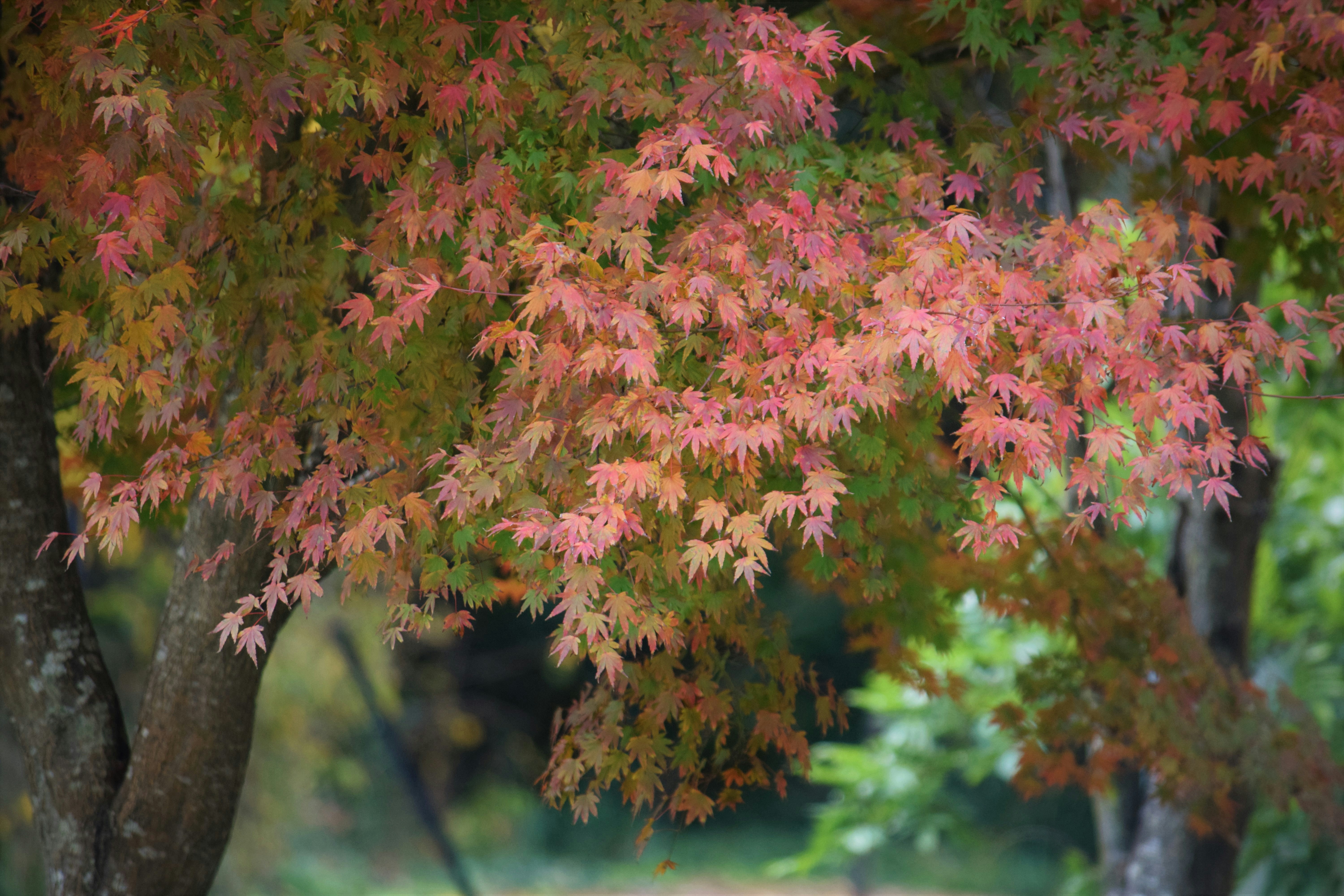 Photo by ch_photography